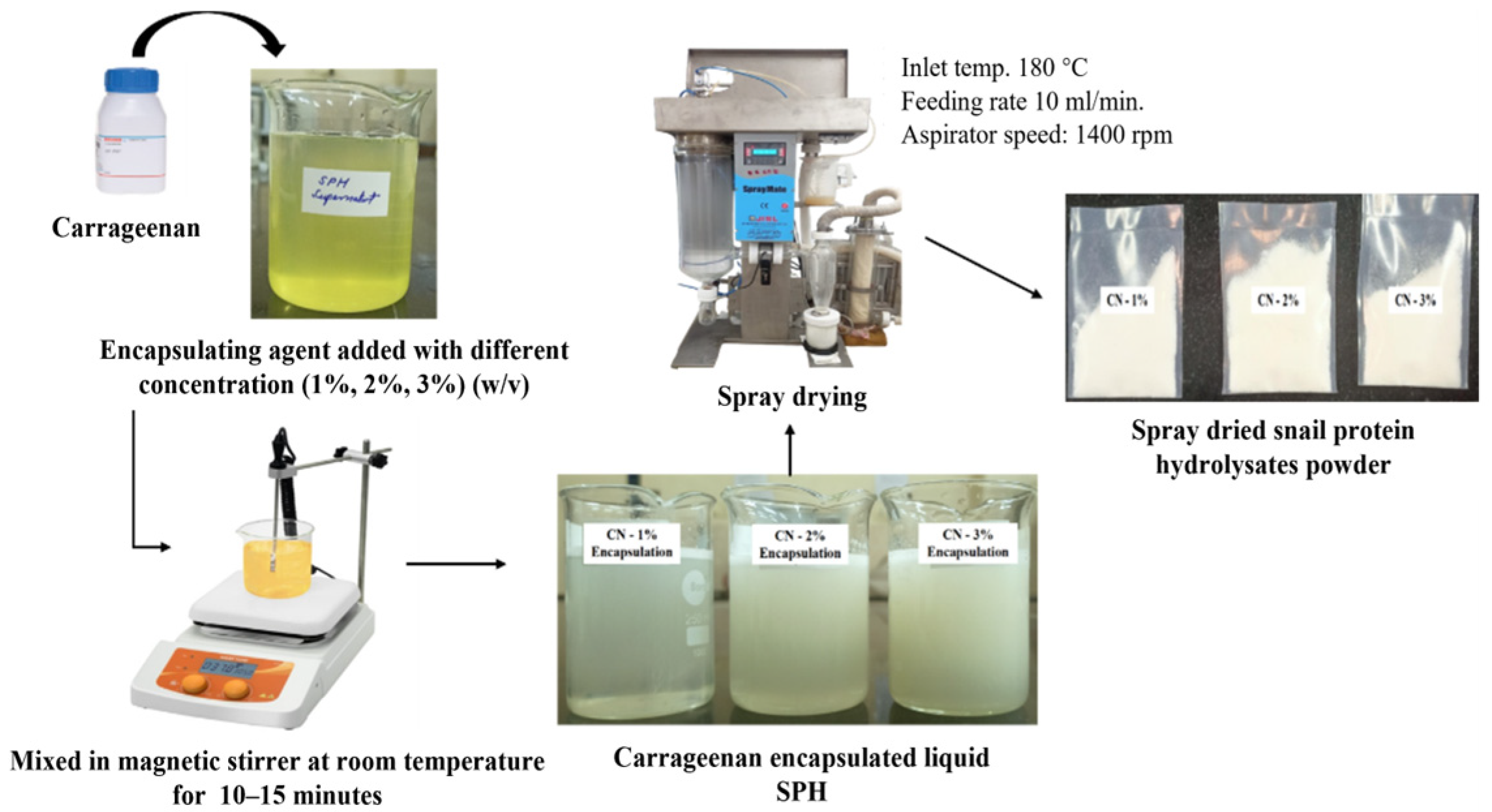 Colloids 09 00029 g002