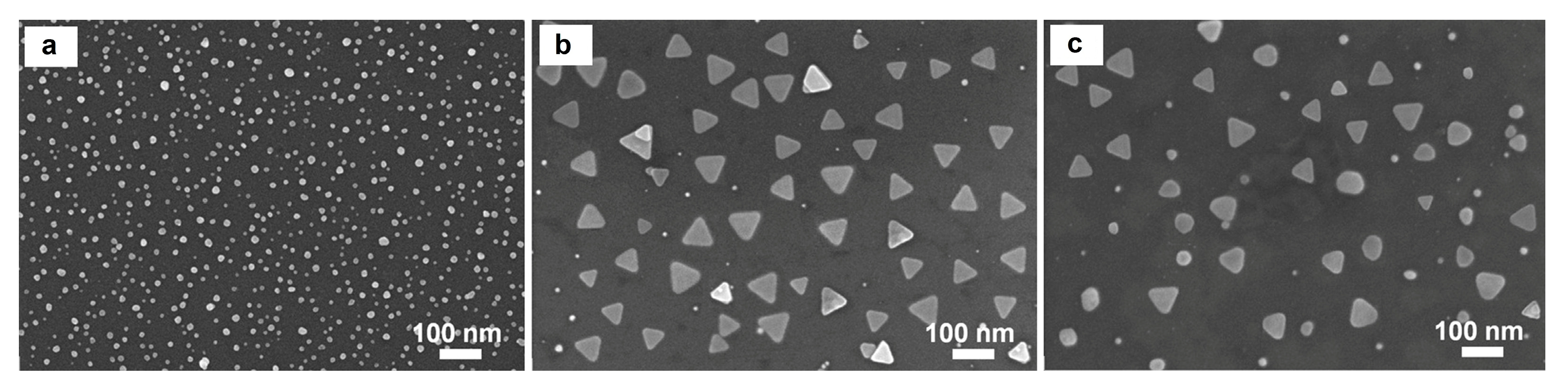 Colloids 09 00031 g004