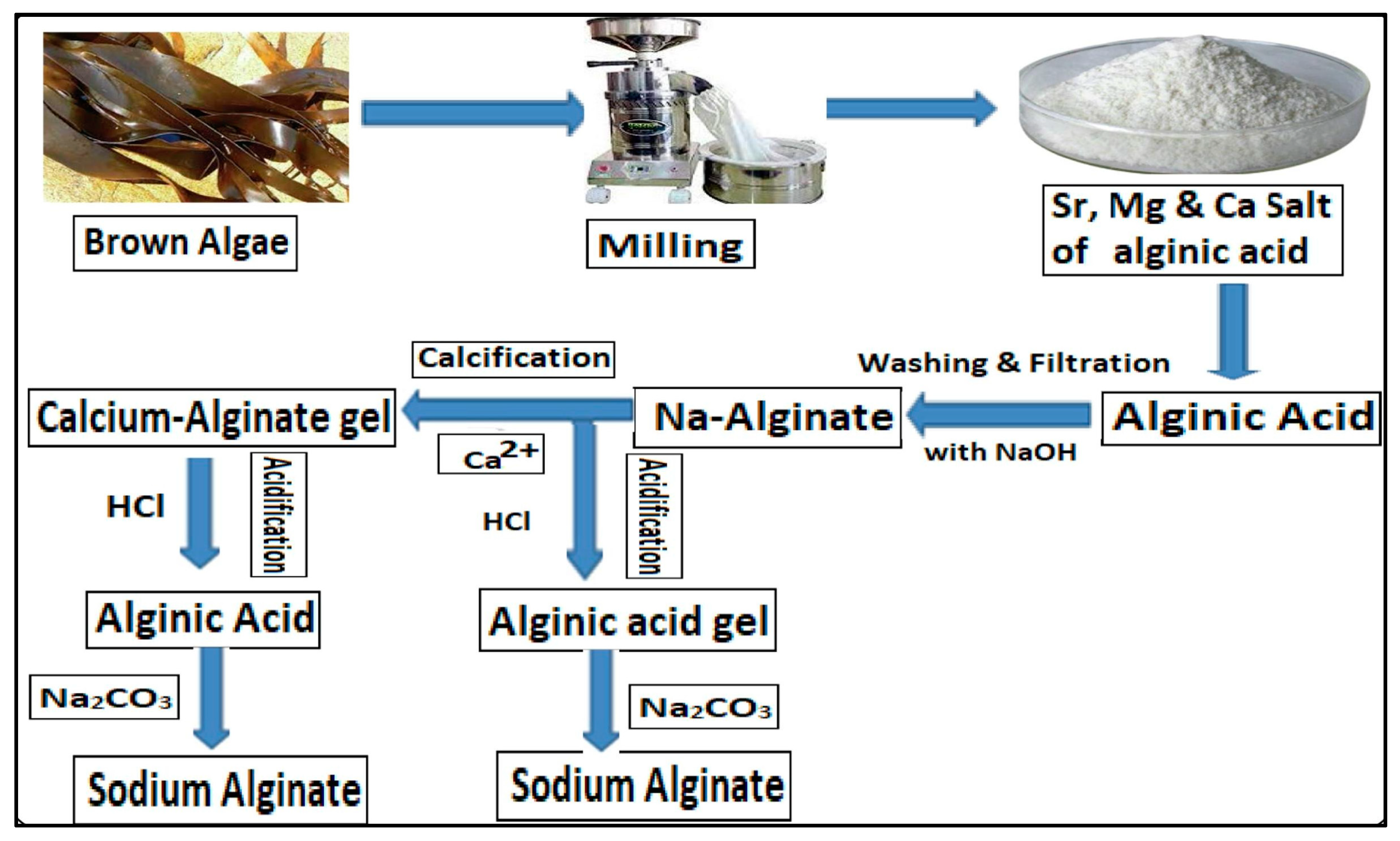 Colloids 09 00032 g001