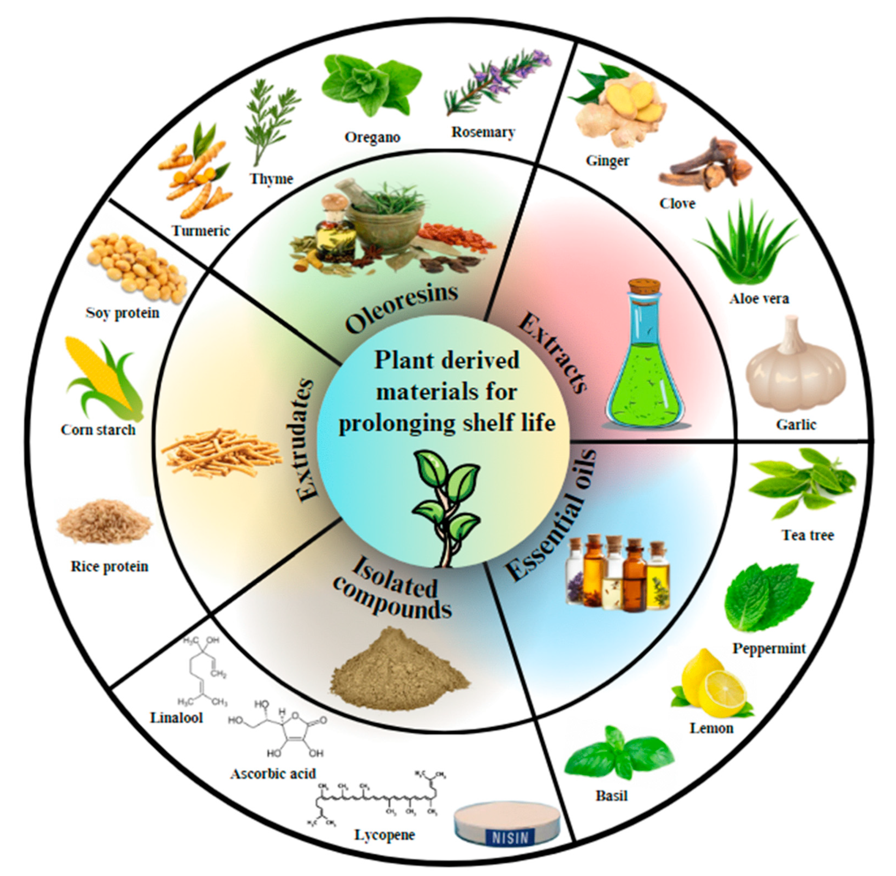 Colloids 09 00032 g003