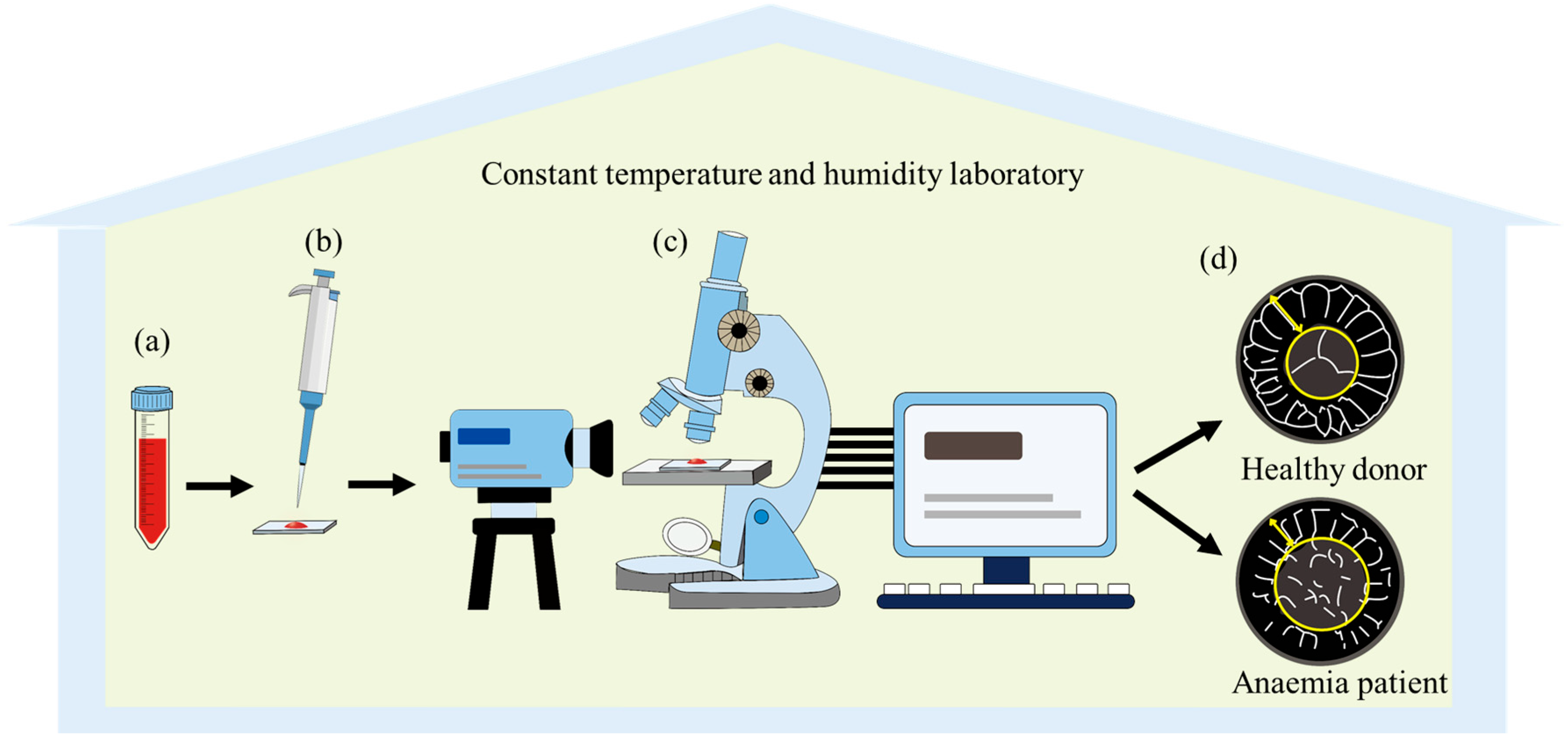 Colloids 09 00035 g001