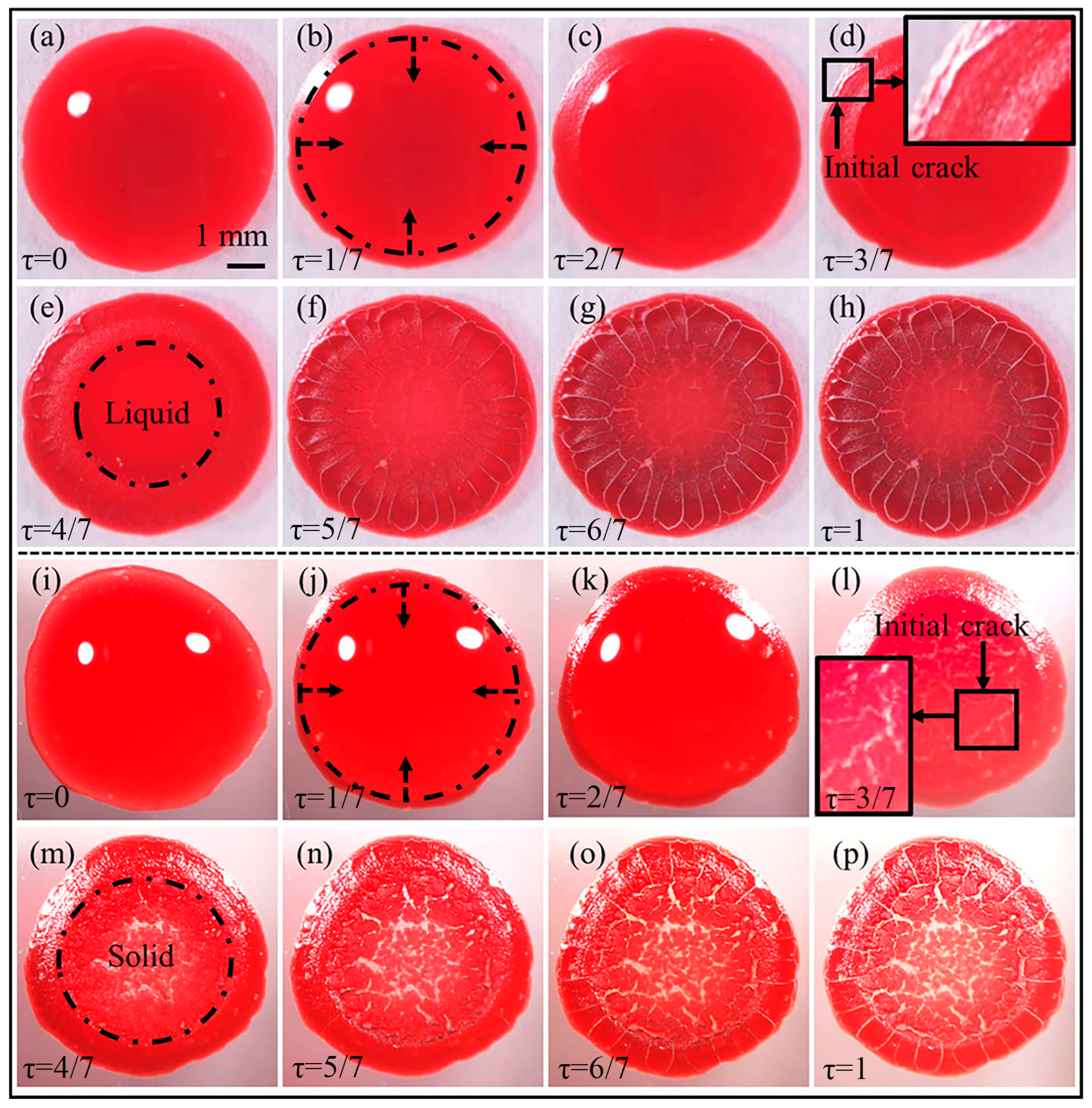 Colloids 09 00035 g004