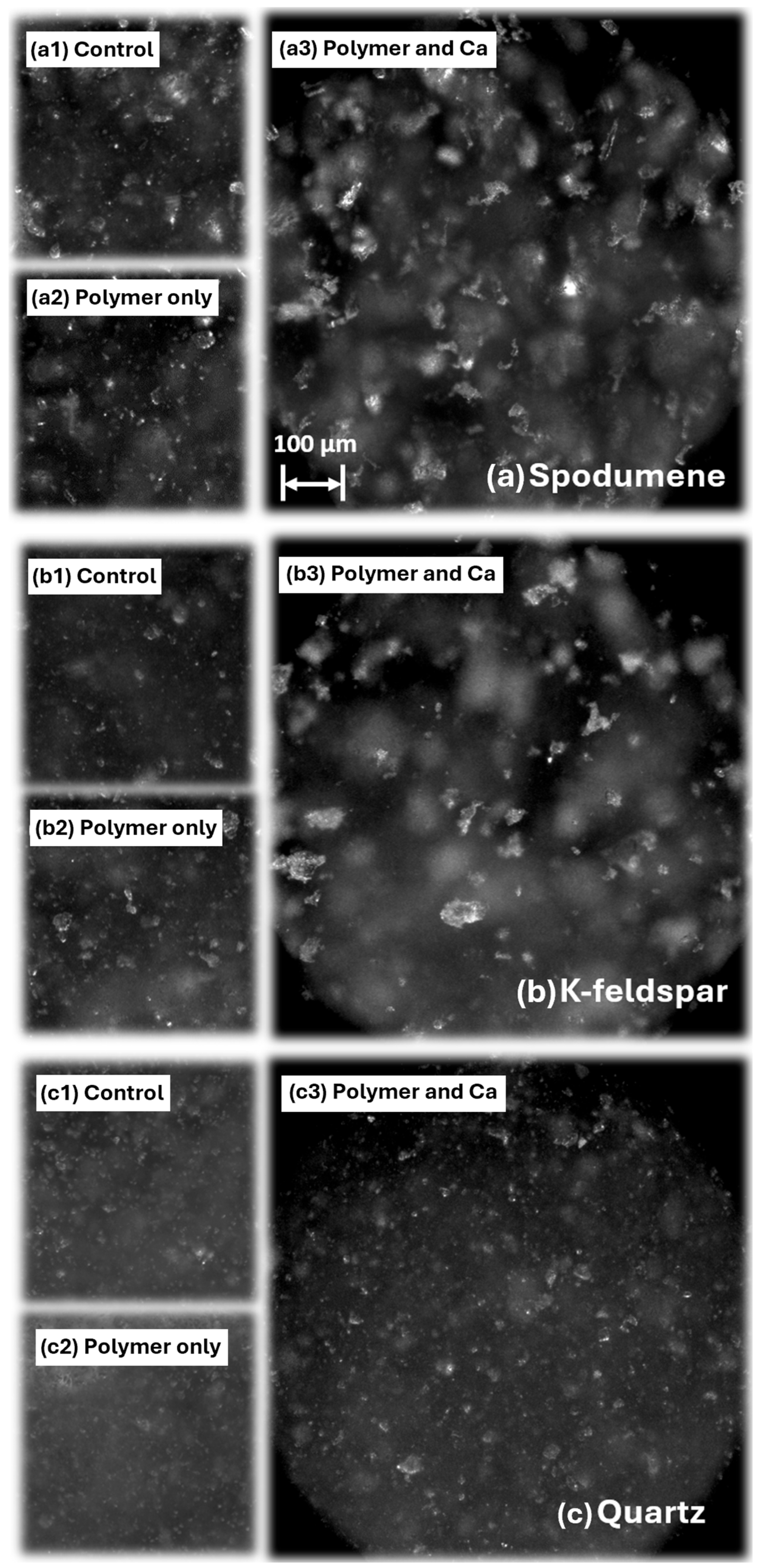 Colloids 09 00036 g004