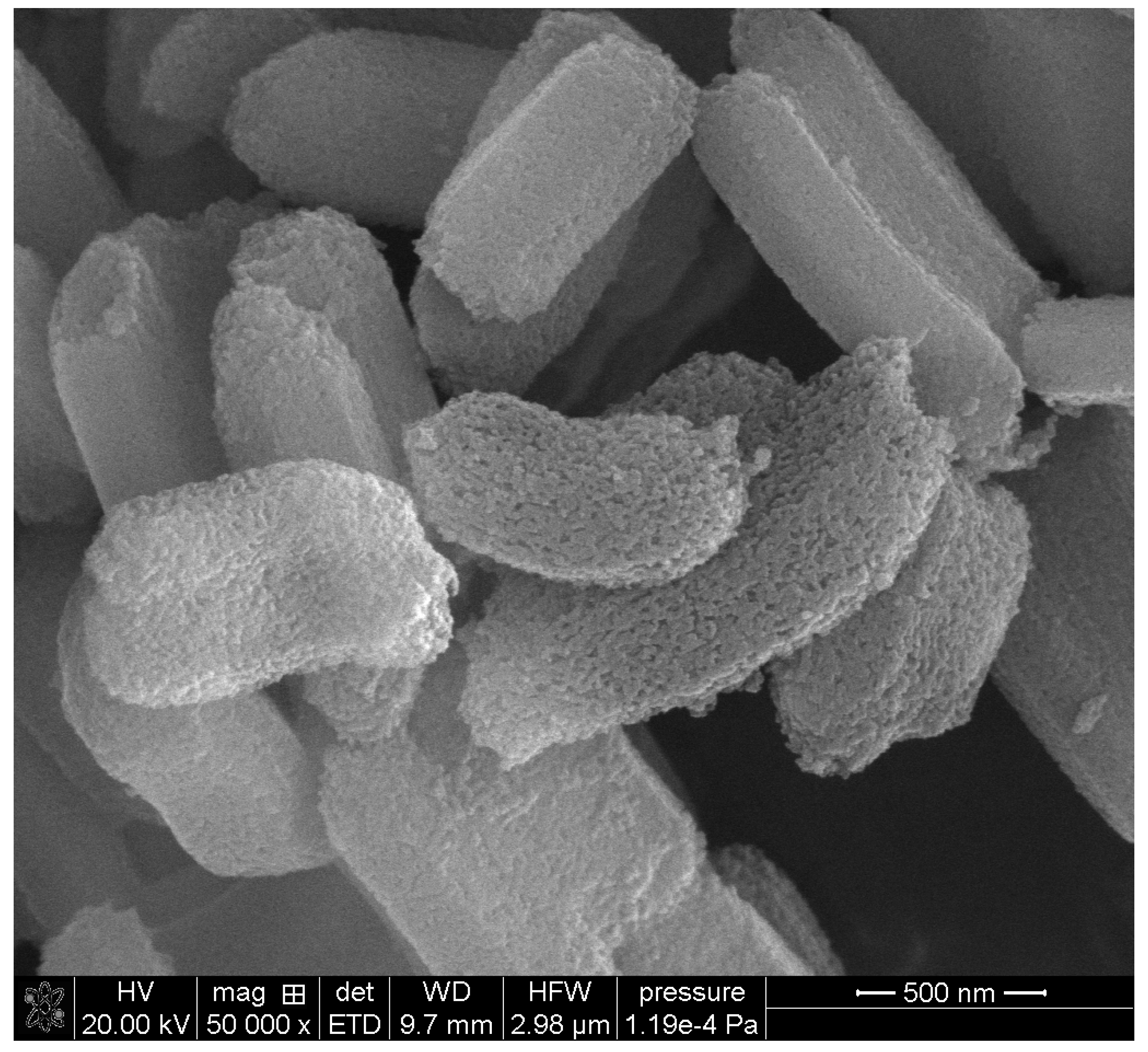 Colloids 09 00039 g009