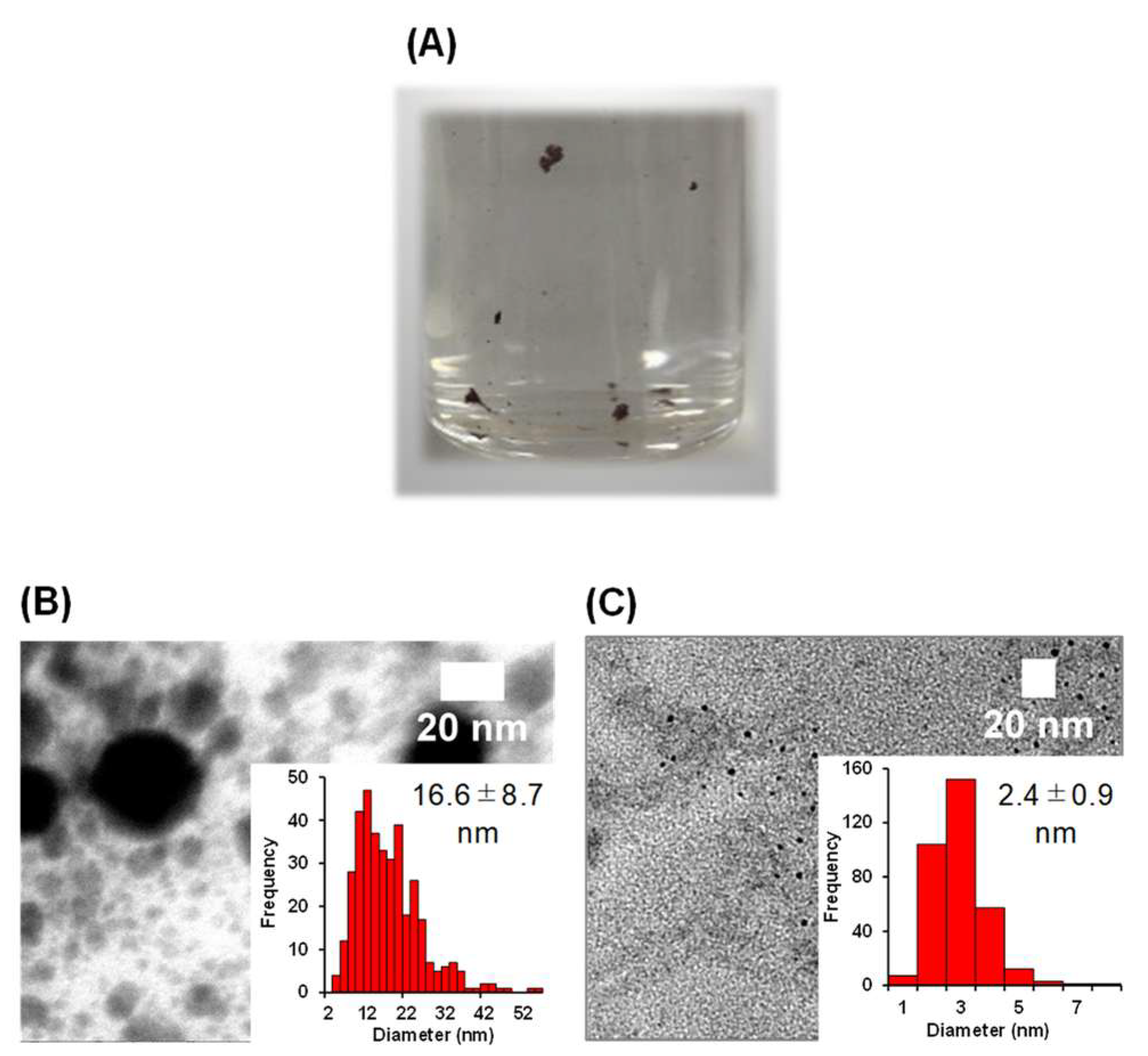 Colloids 09 00042 g004