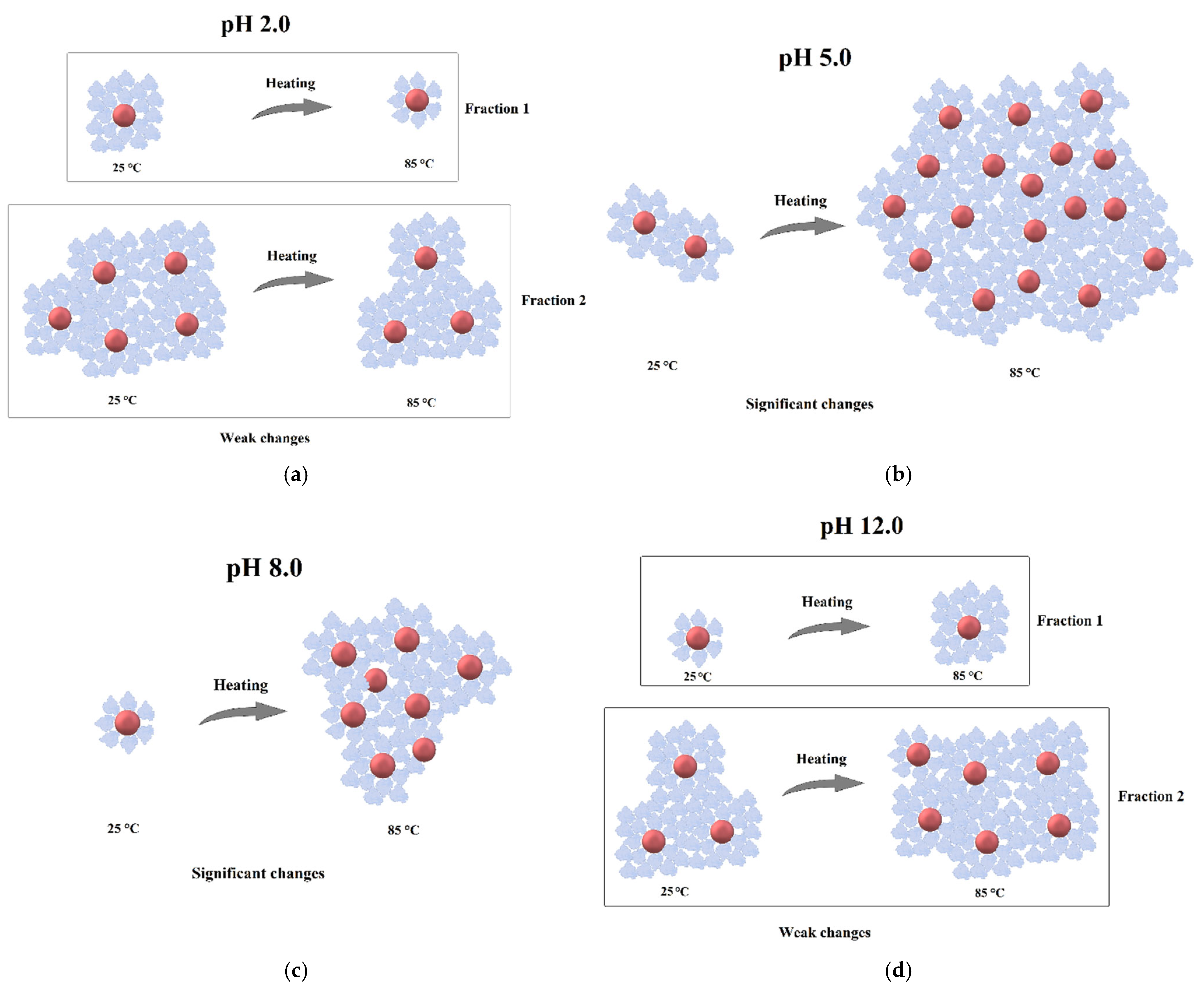 Colloids 09 00045 g010