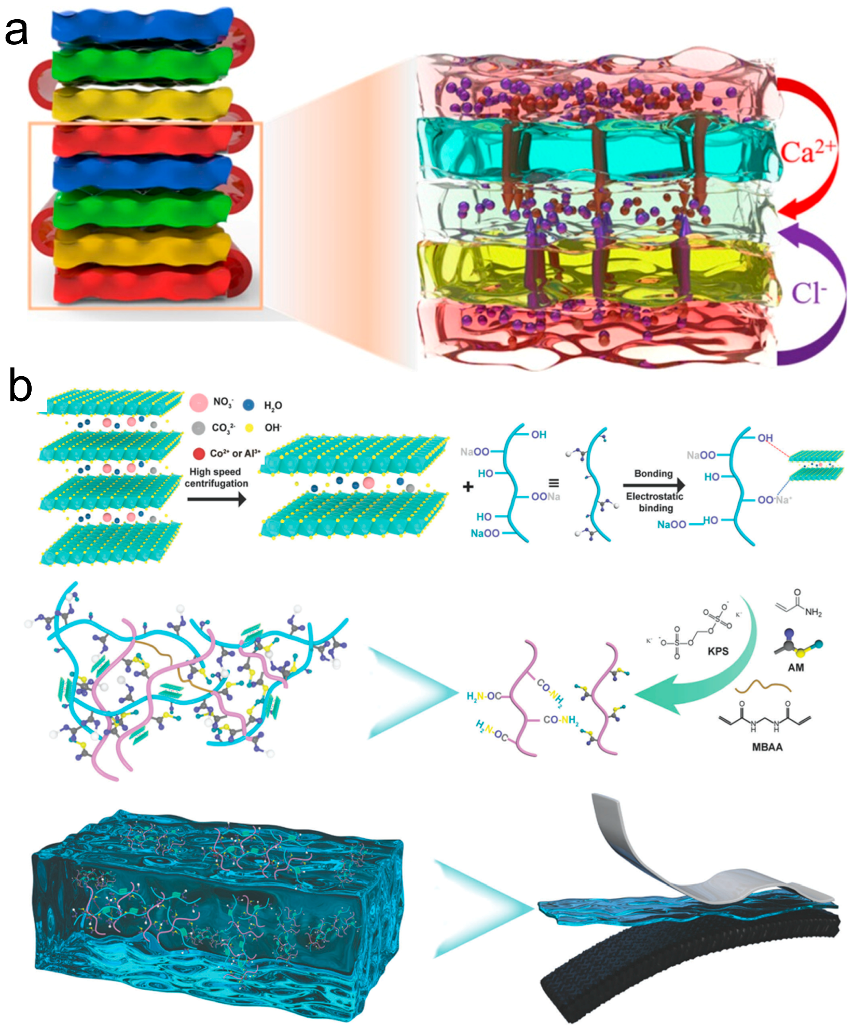 Colloids 09 00048 g003