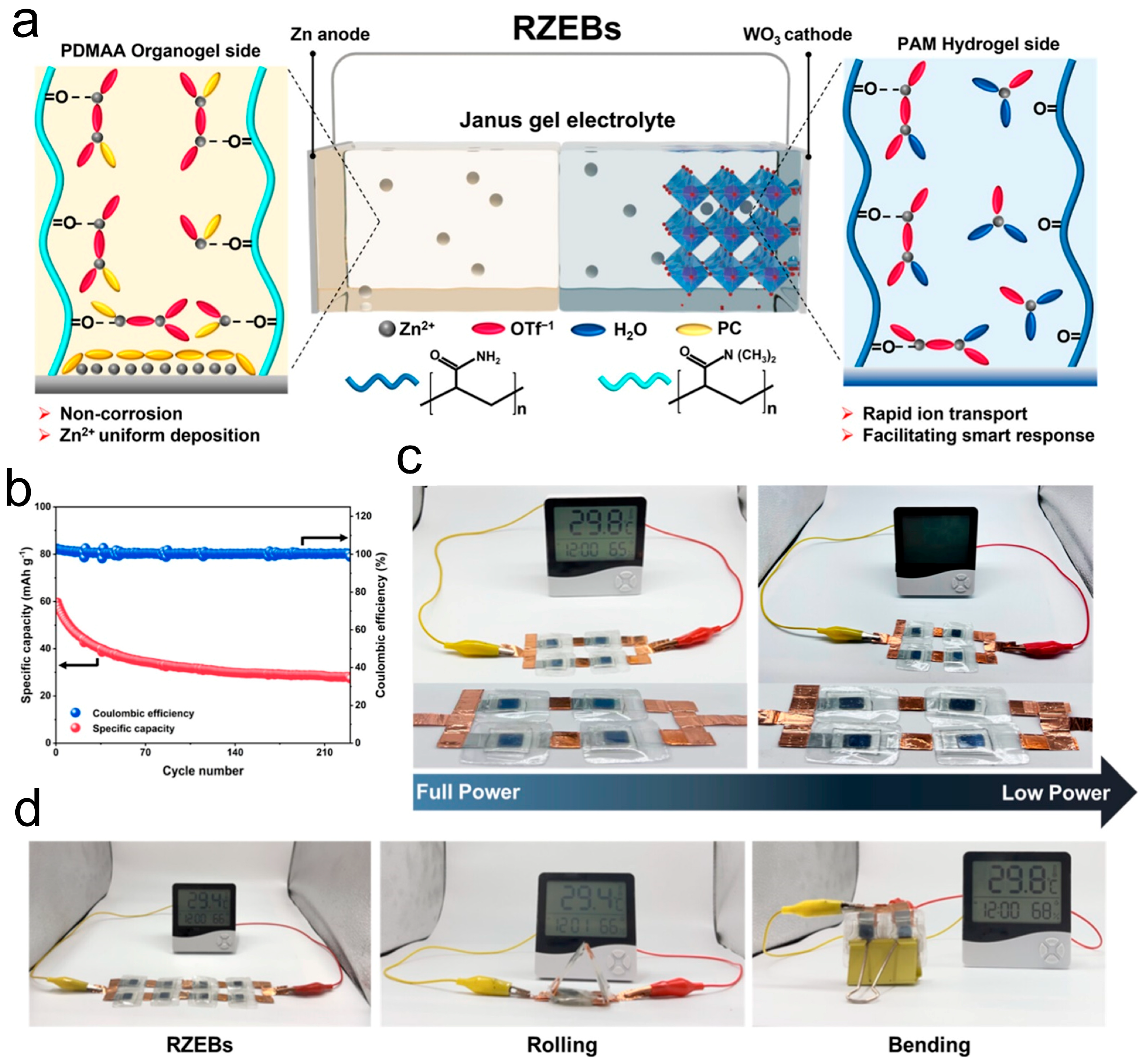Colloids 09 00048 g005
