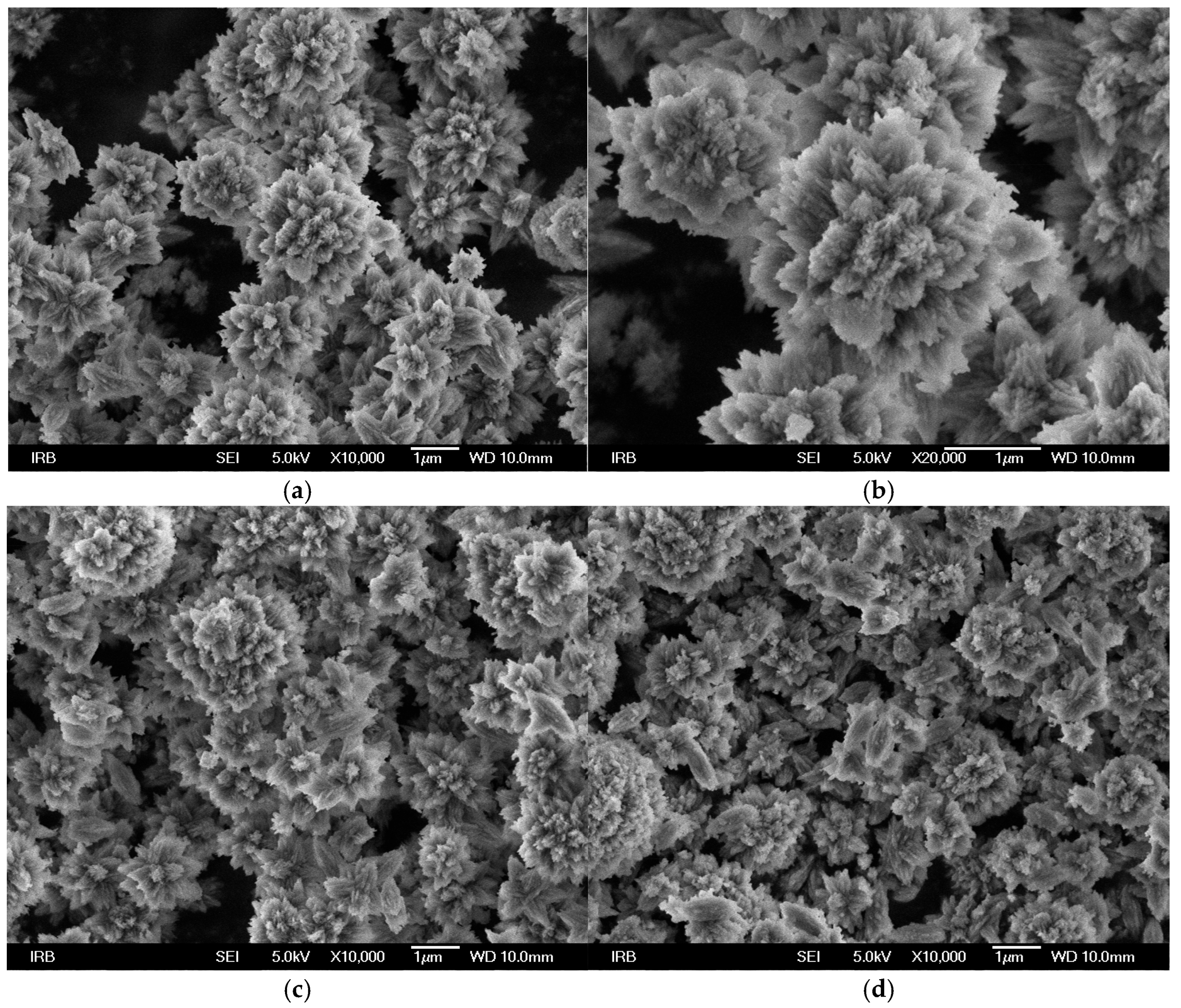 Colloids 09 00050 g006