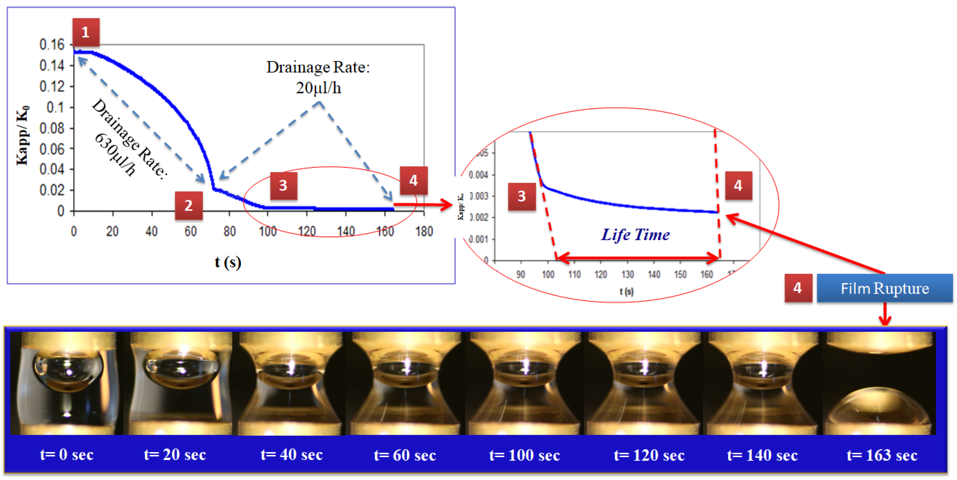 Colloids 09 00052 g002