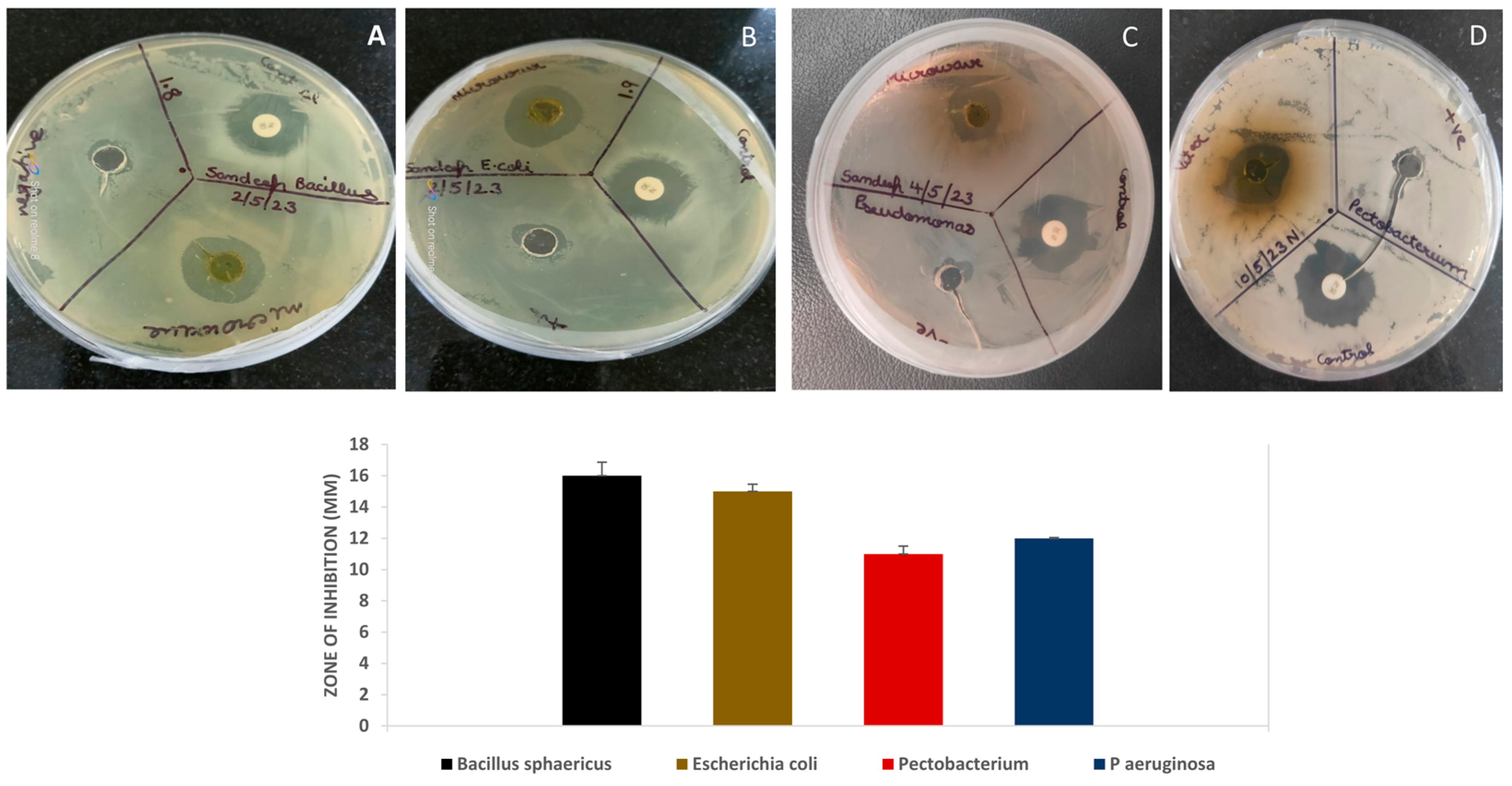 Colloids 09 00055 g005