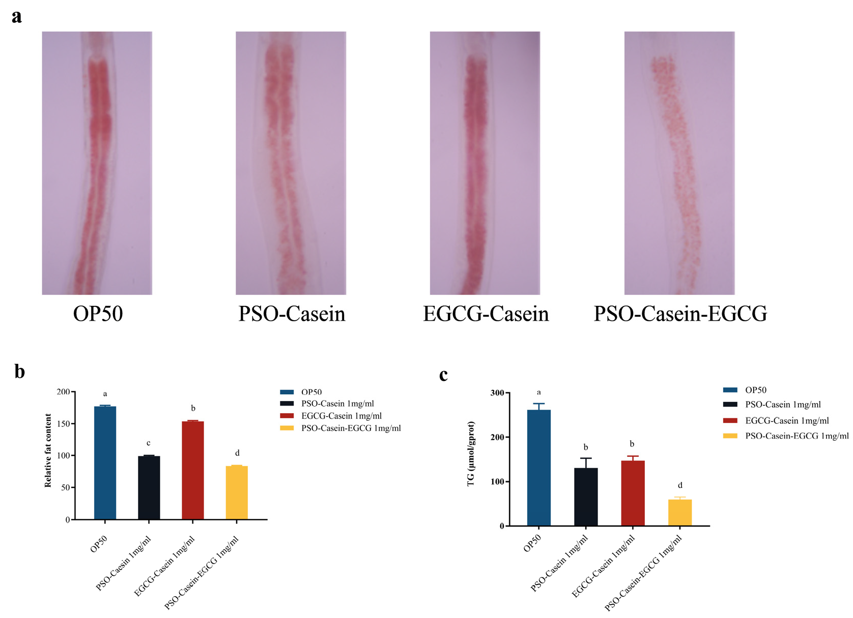 Colloids 09 00056 g006