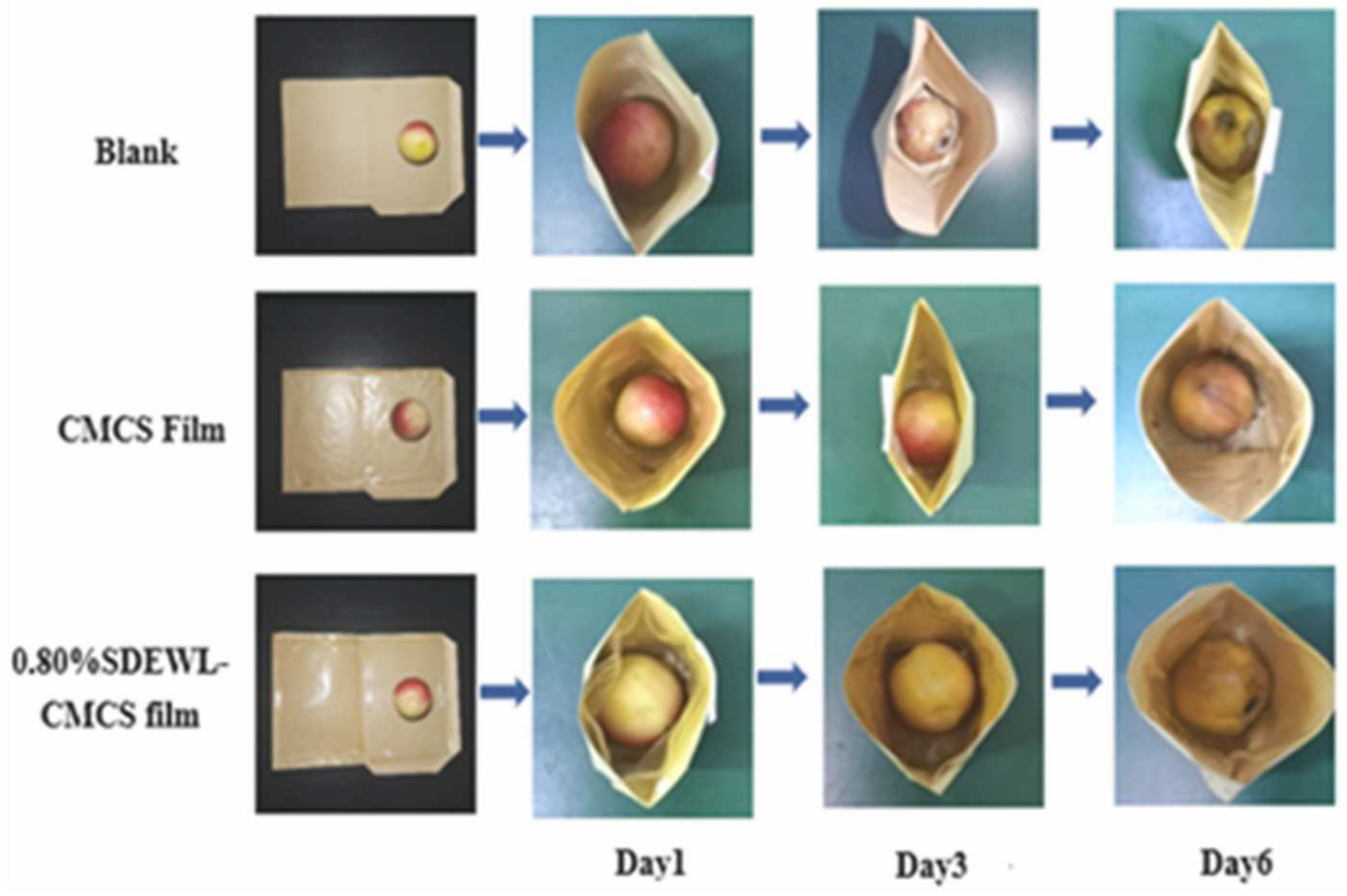 Colloids 09 00074 g001