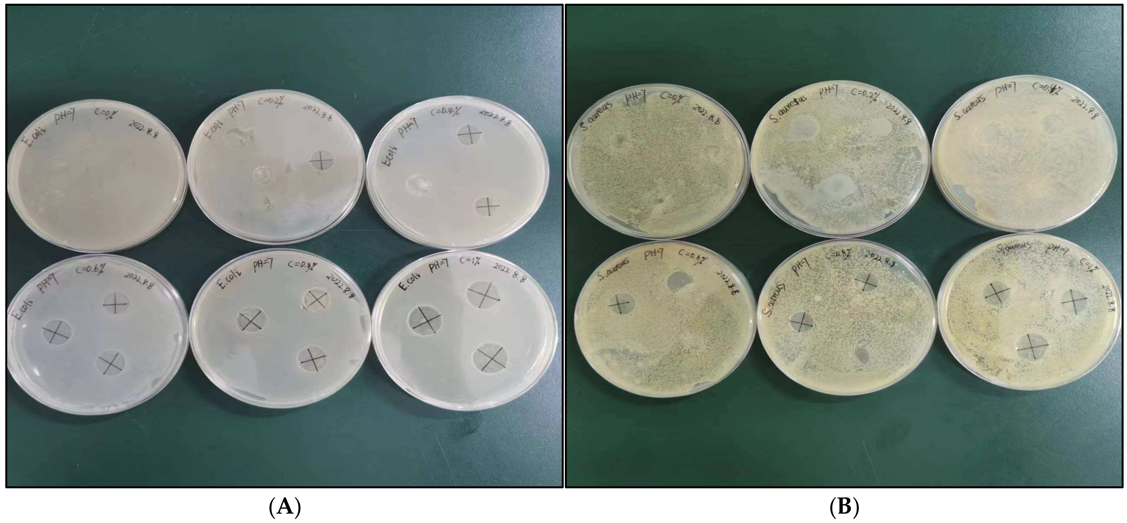 Colloids 09 00074 g003