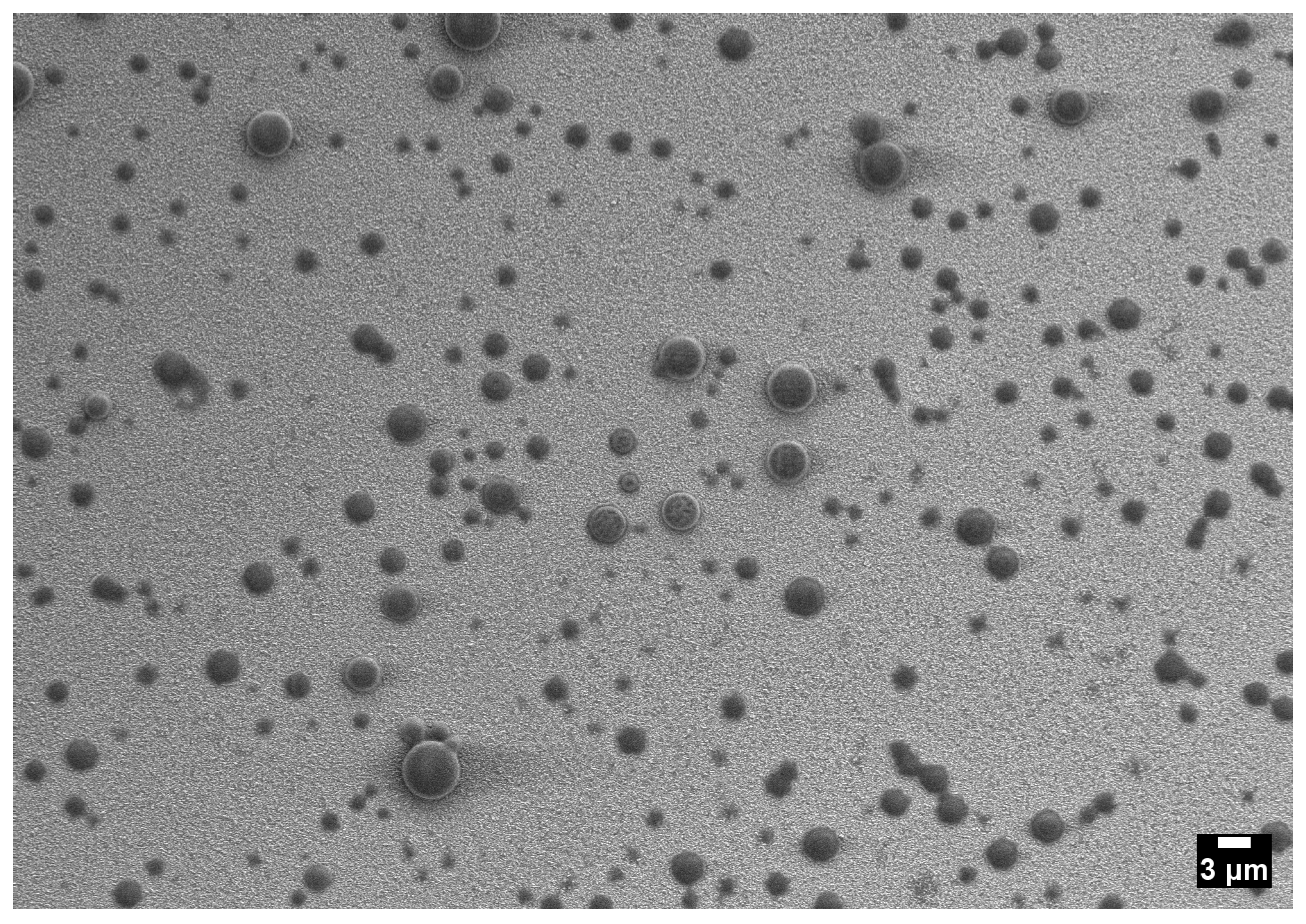 Colloids 09 00078 g006