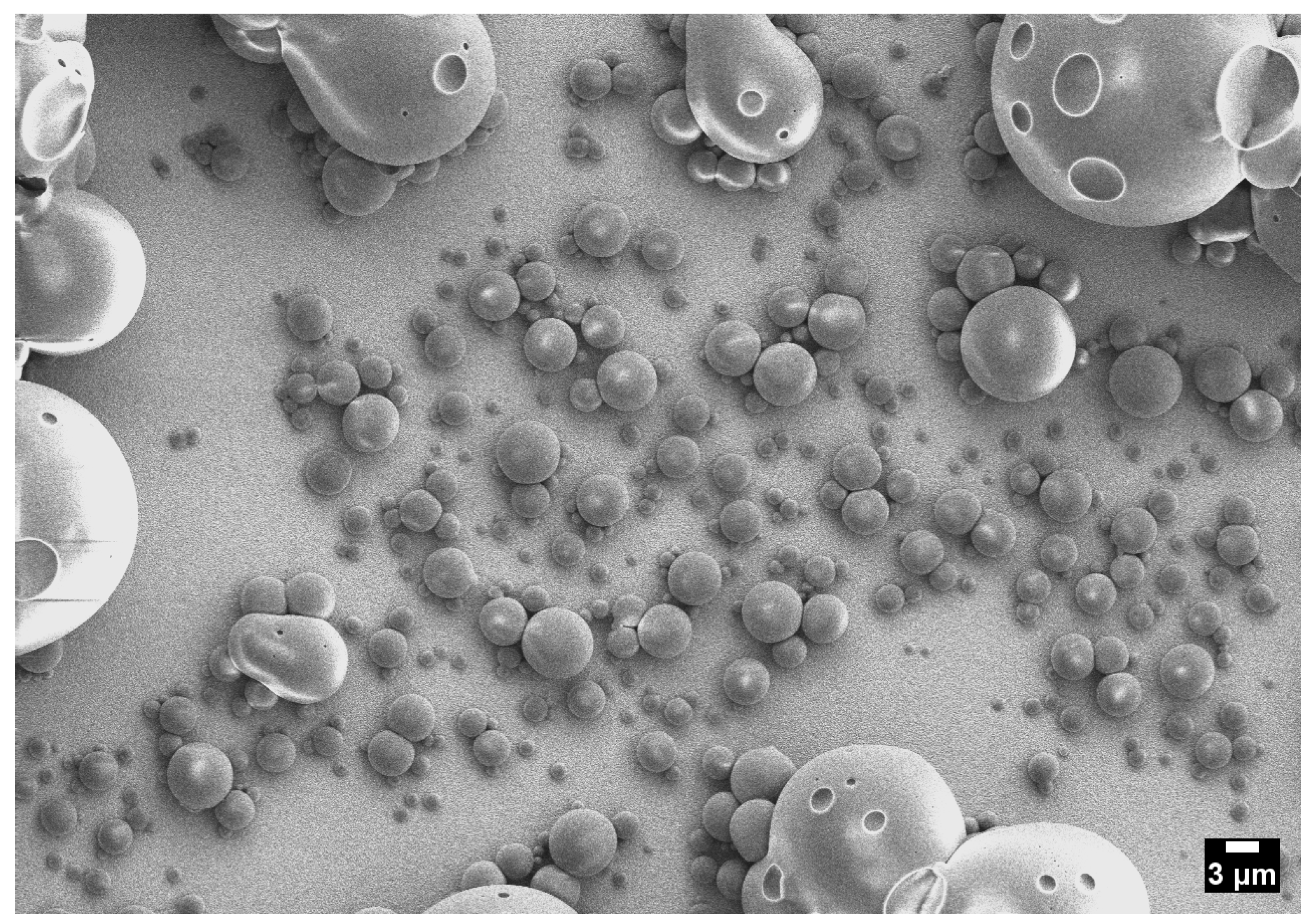 Colloids 09 00078 g010