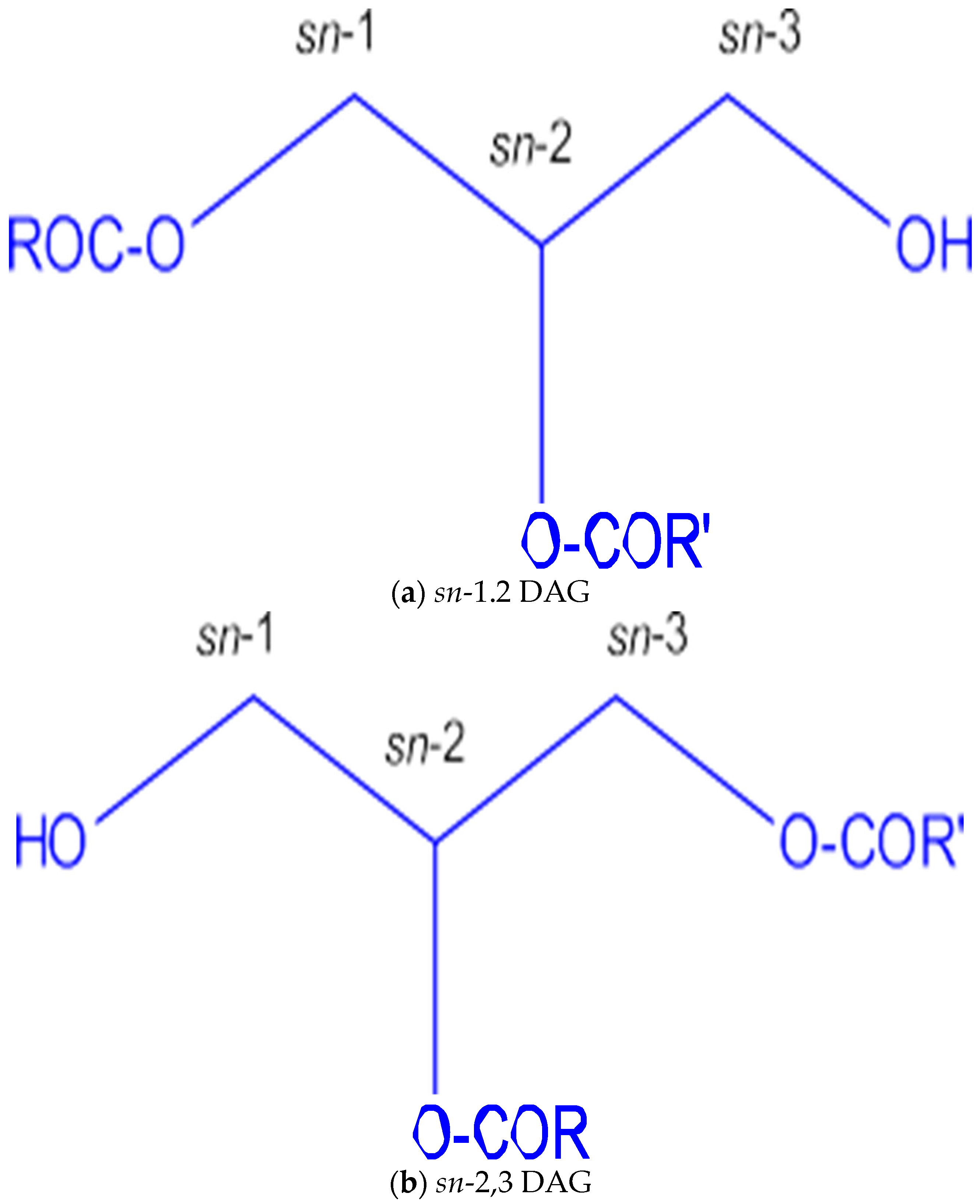 Colloids 09 00080 g001