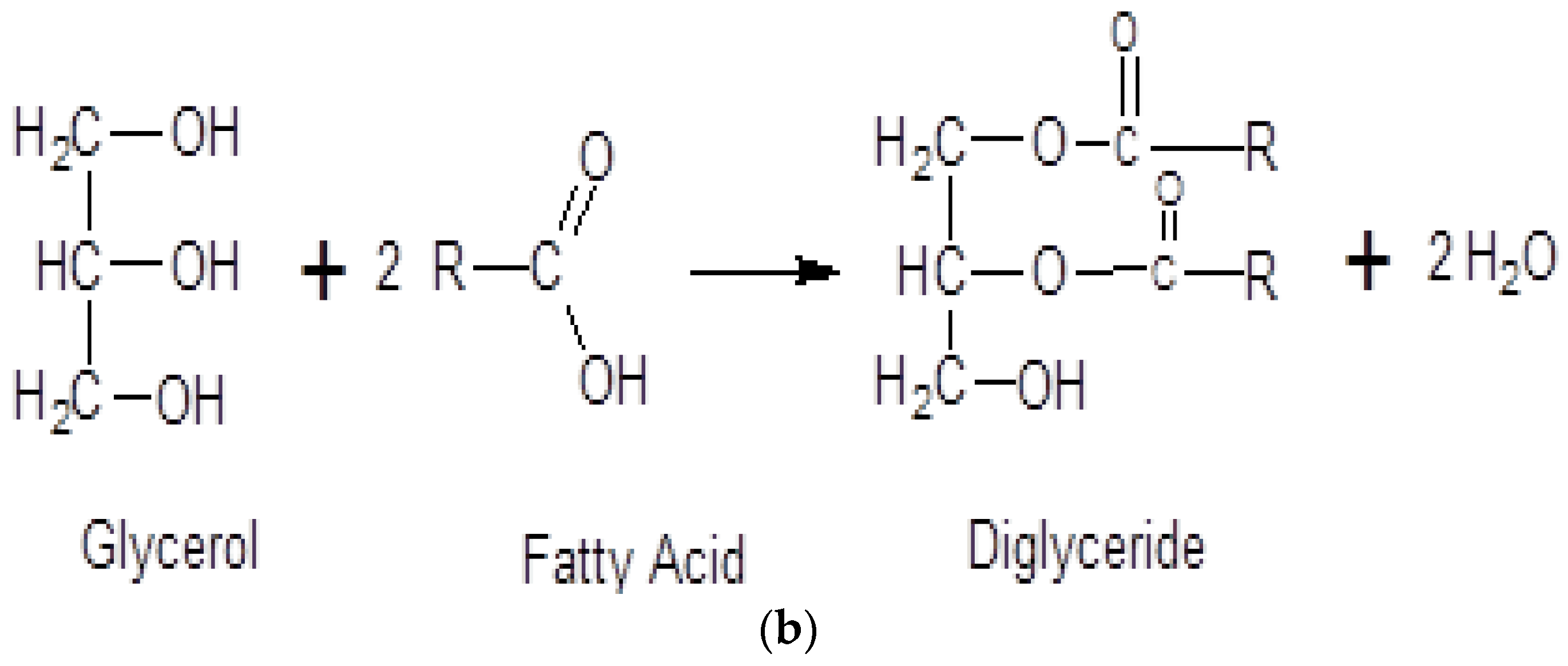 Colloids 09 00080 g002b