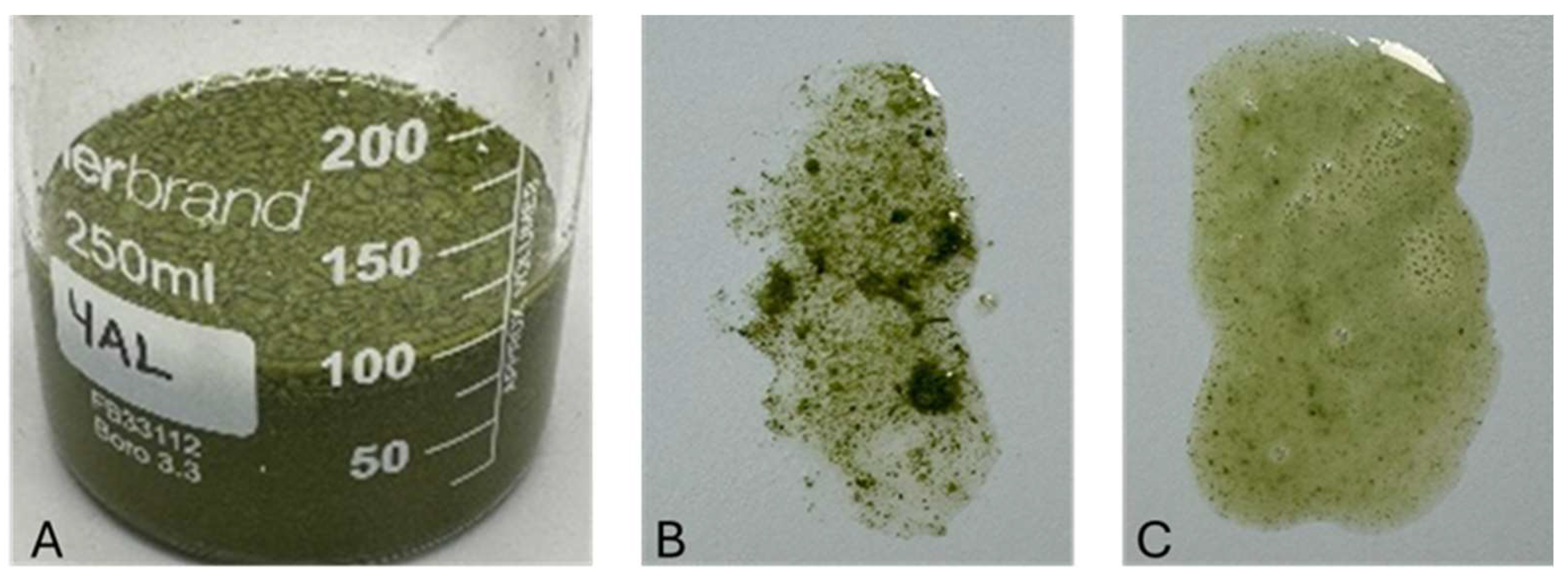 Colloids 09 00081 g004 Colloids 09 00081 g004