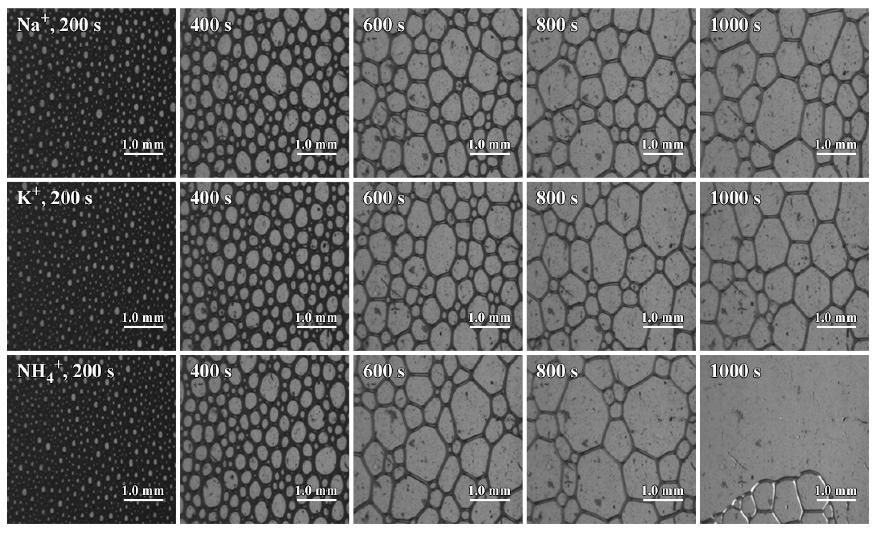 Colloids 09 00082 g005 Colloids 09 00082 g005