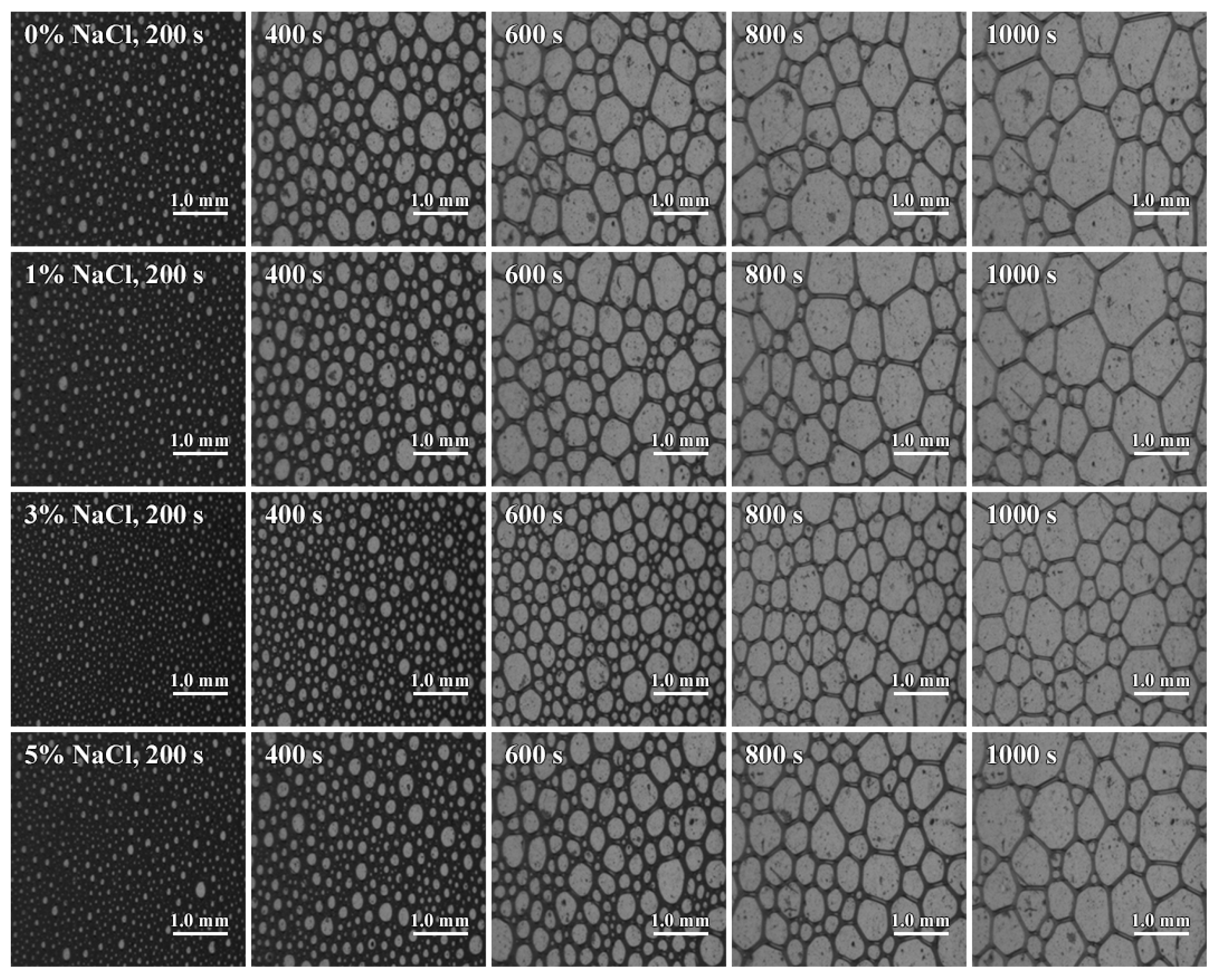 Colloids 09 00082 g010 Colloids 09 00082 g010