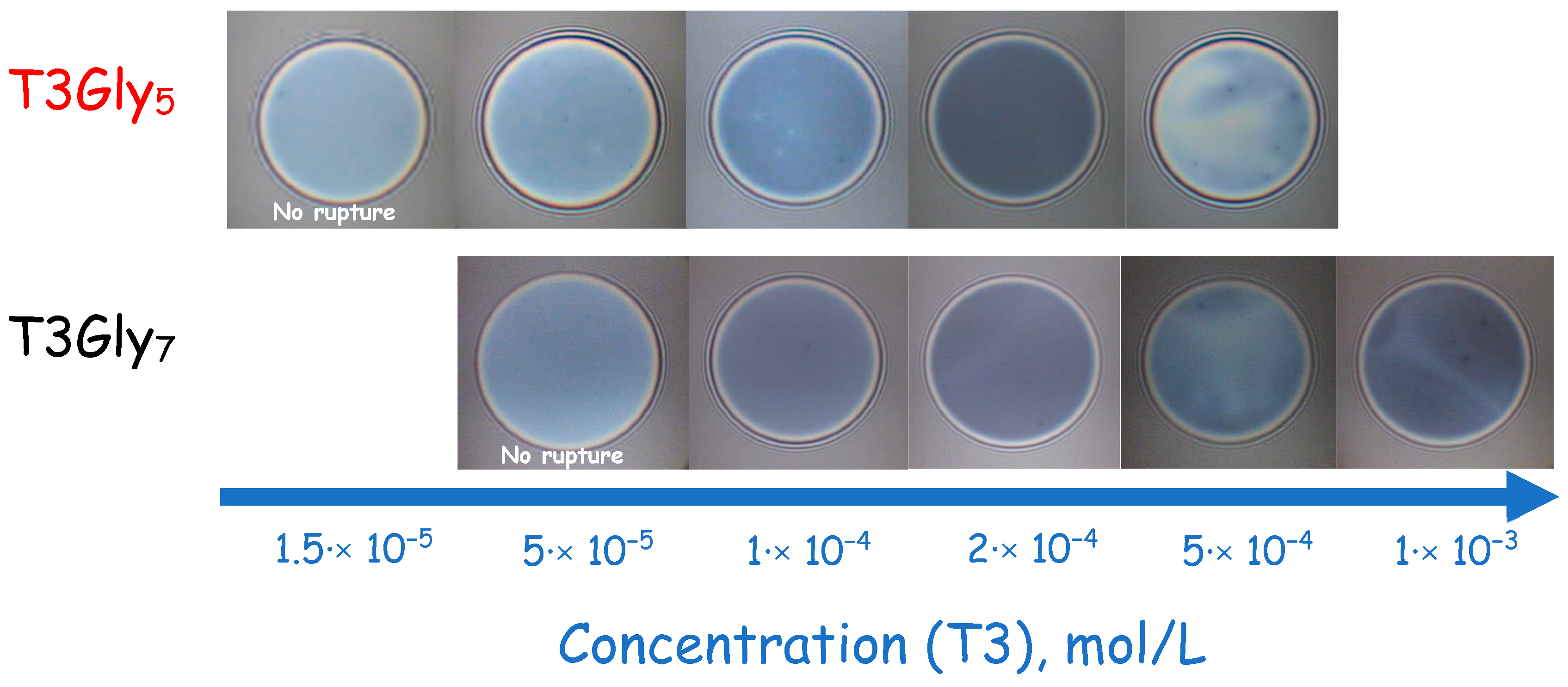 Colloids 09 00083 g005