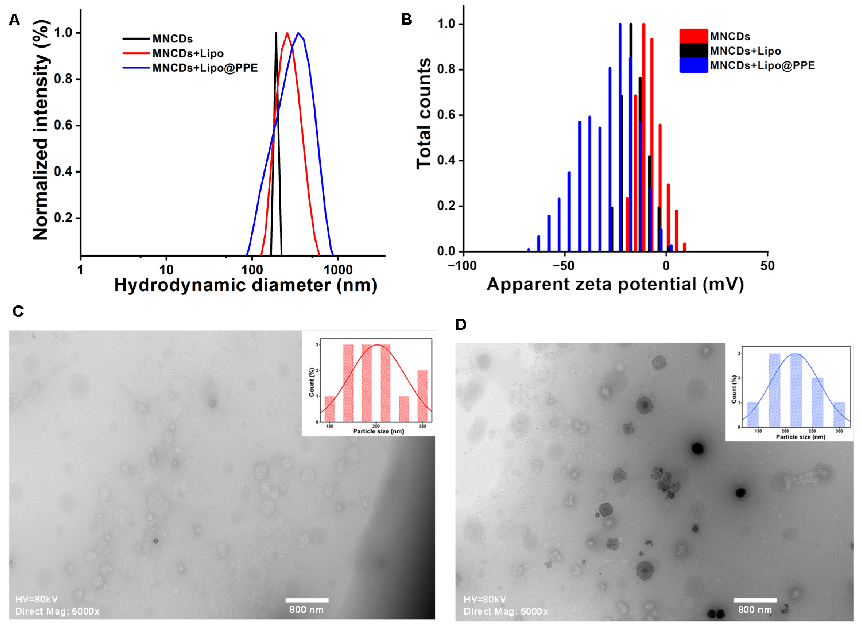Colloids 10 00004 g003
