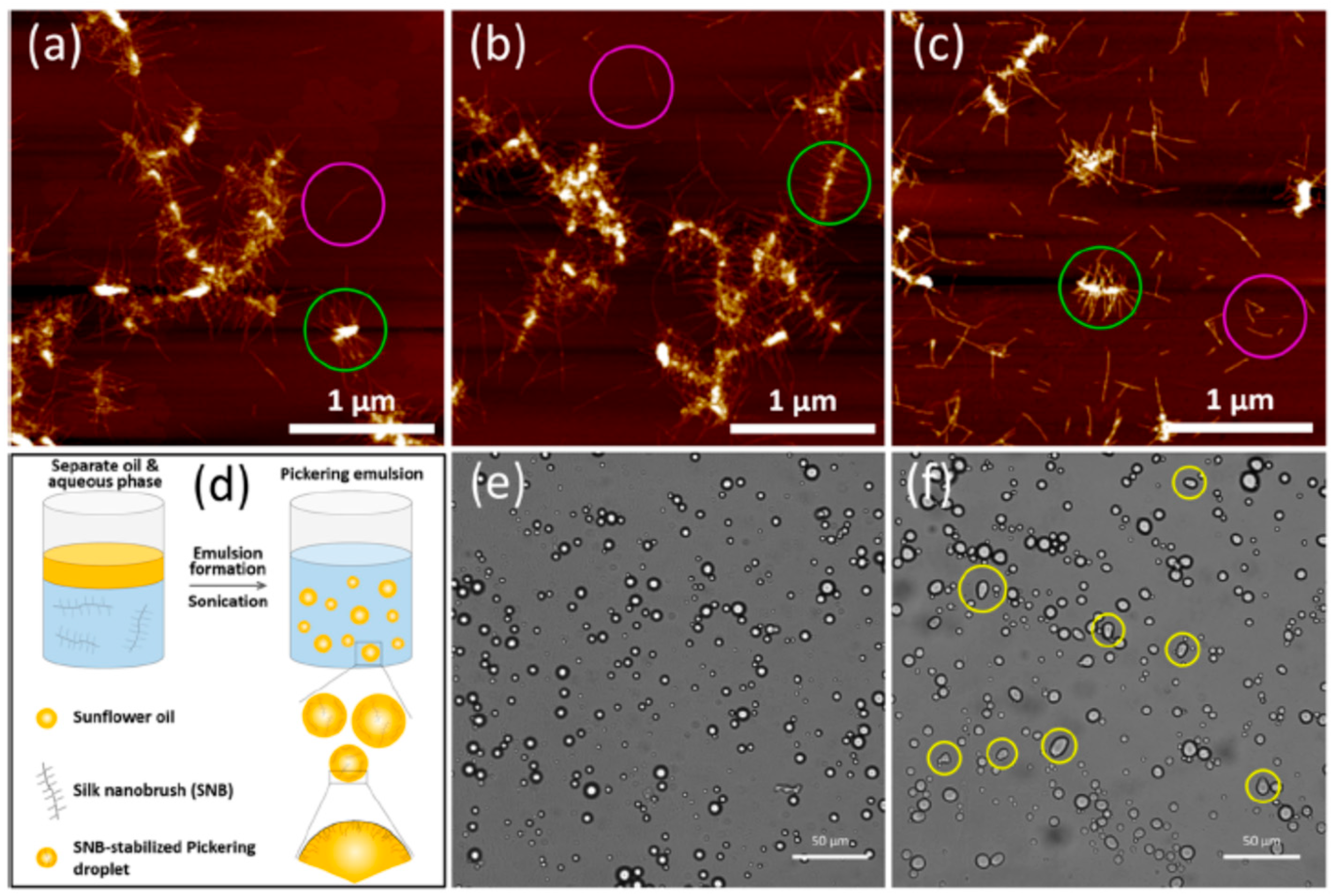Colloids 10 00013 g007