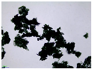 Colloids 10 00022 i015 Colloids 10 00022 i015