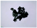Colloids 10 00022 i016 Colloids 10 00022 i016
