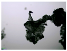 Colloids 10 00022 i028 Colloids 10 00022 i028
