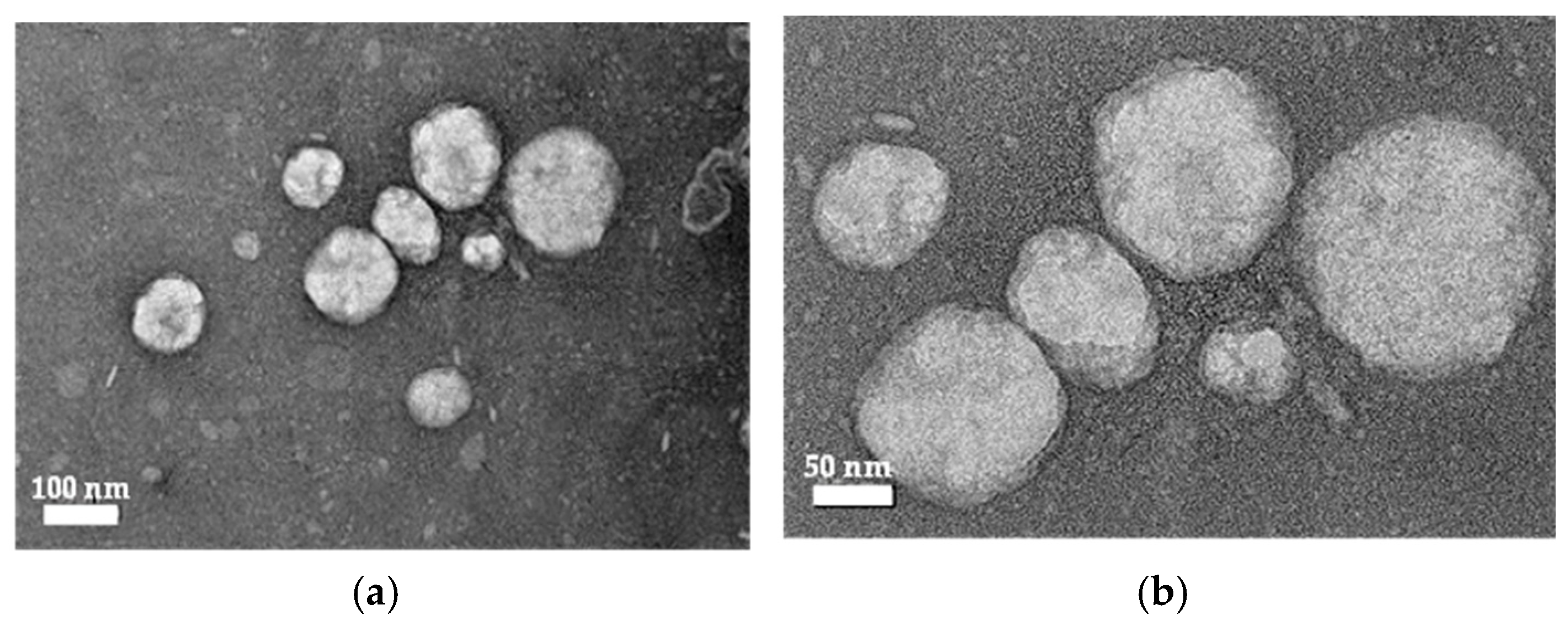 Colloids 10 00024 g004 Colloids 10 00024 g004