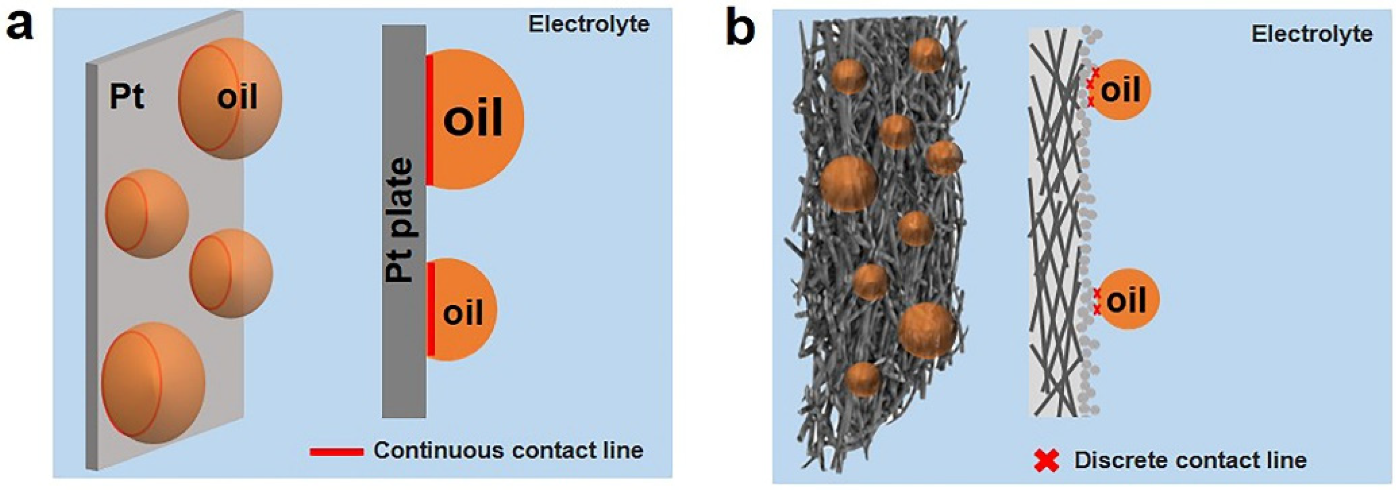 Colloids 10 00027 g005
