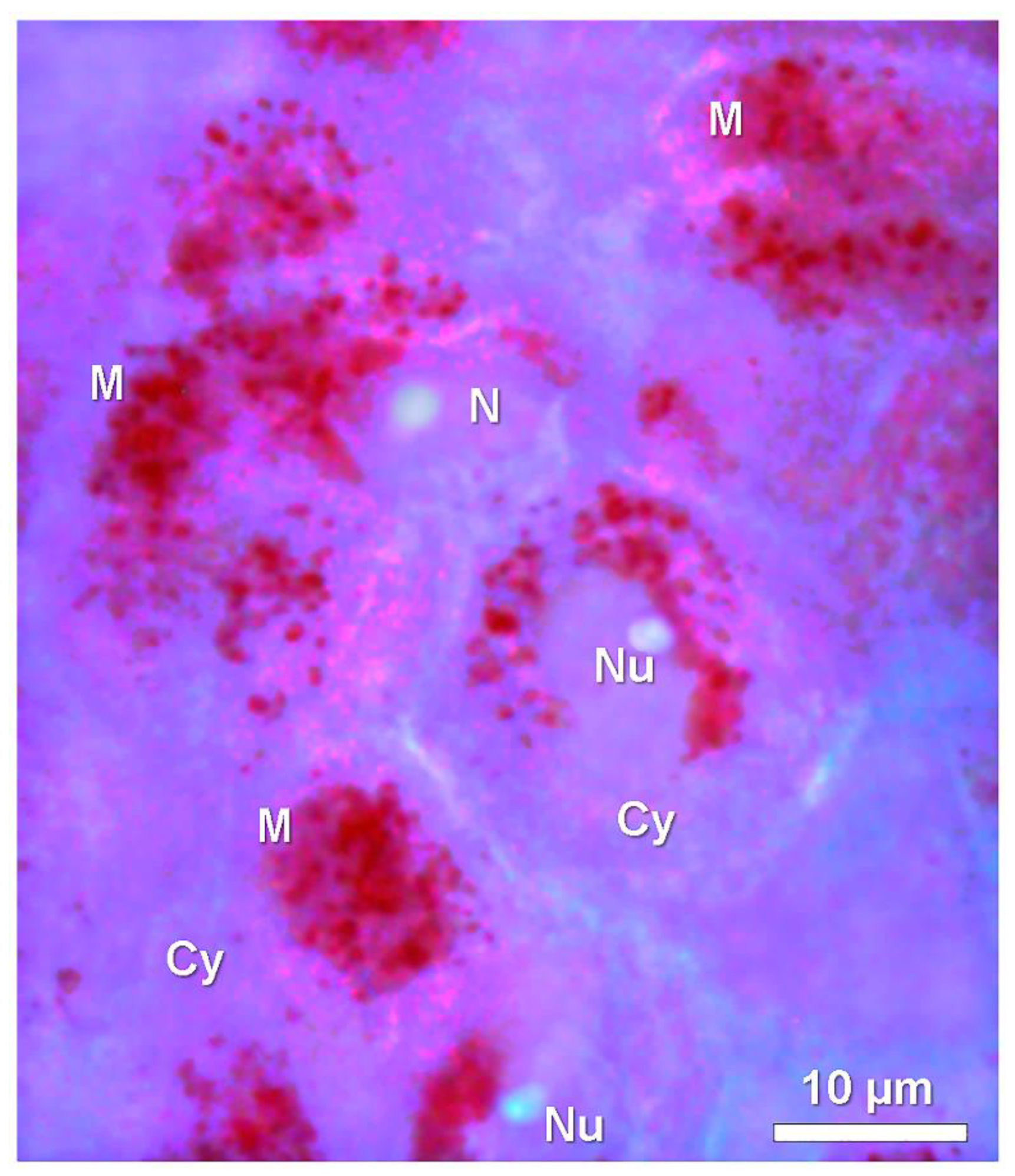 Colorants 01 00007 g009