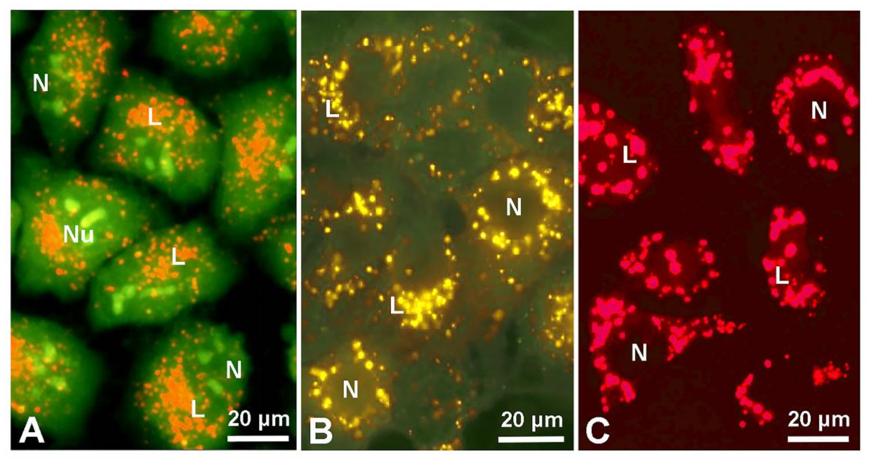 Colorants 01 00007 g014