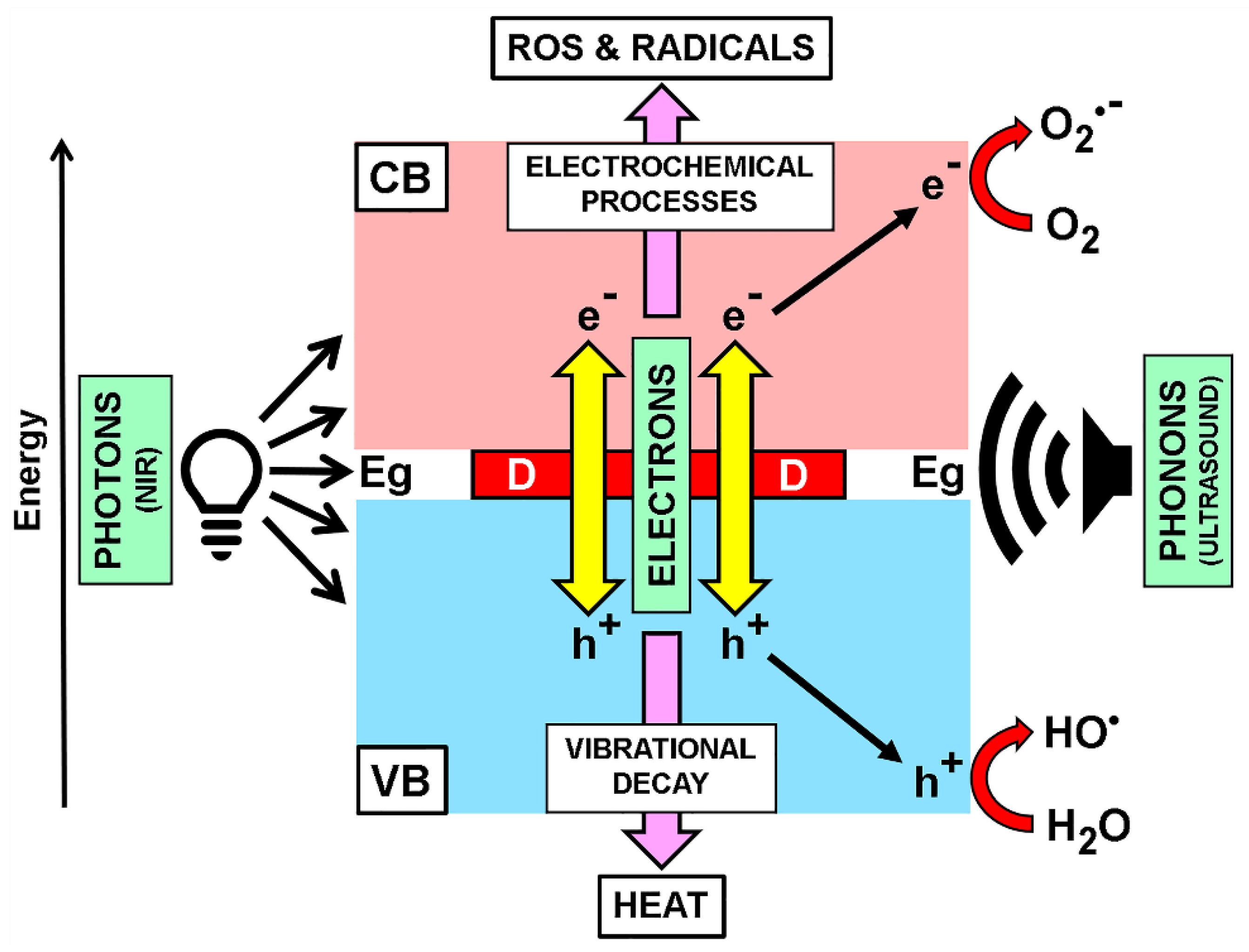 Colorants 01 00007 g020
