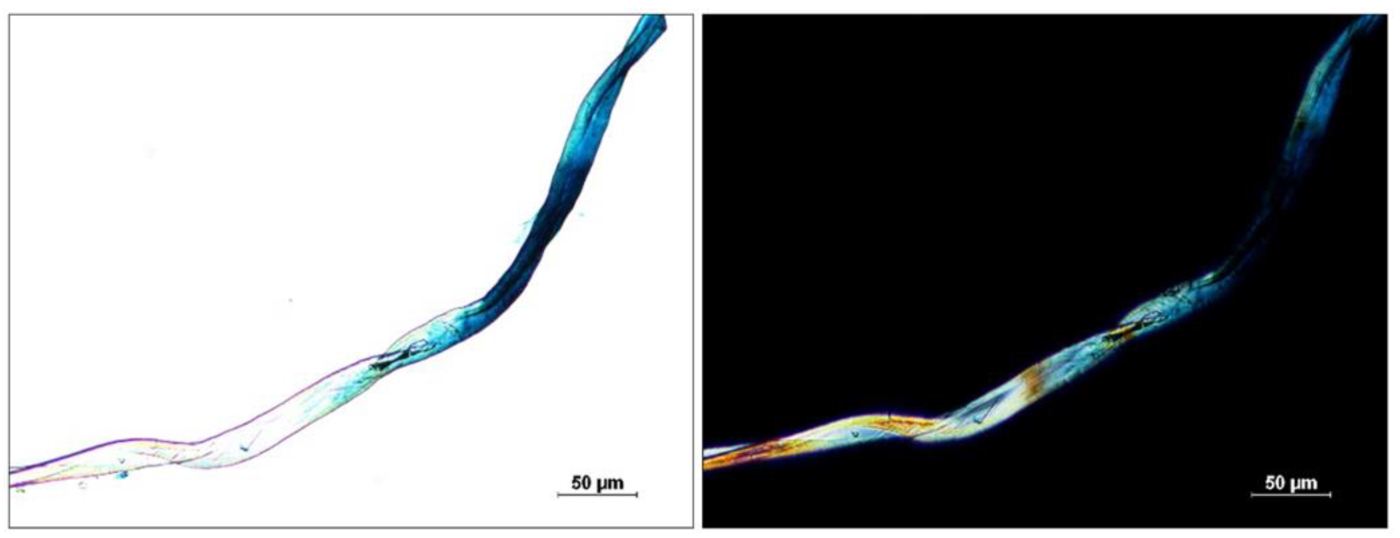 Colorants 01 00024 g004
