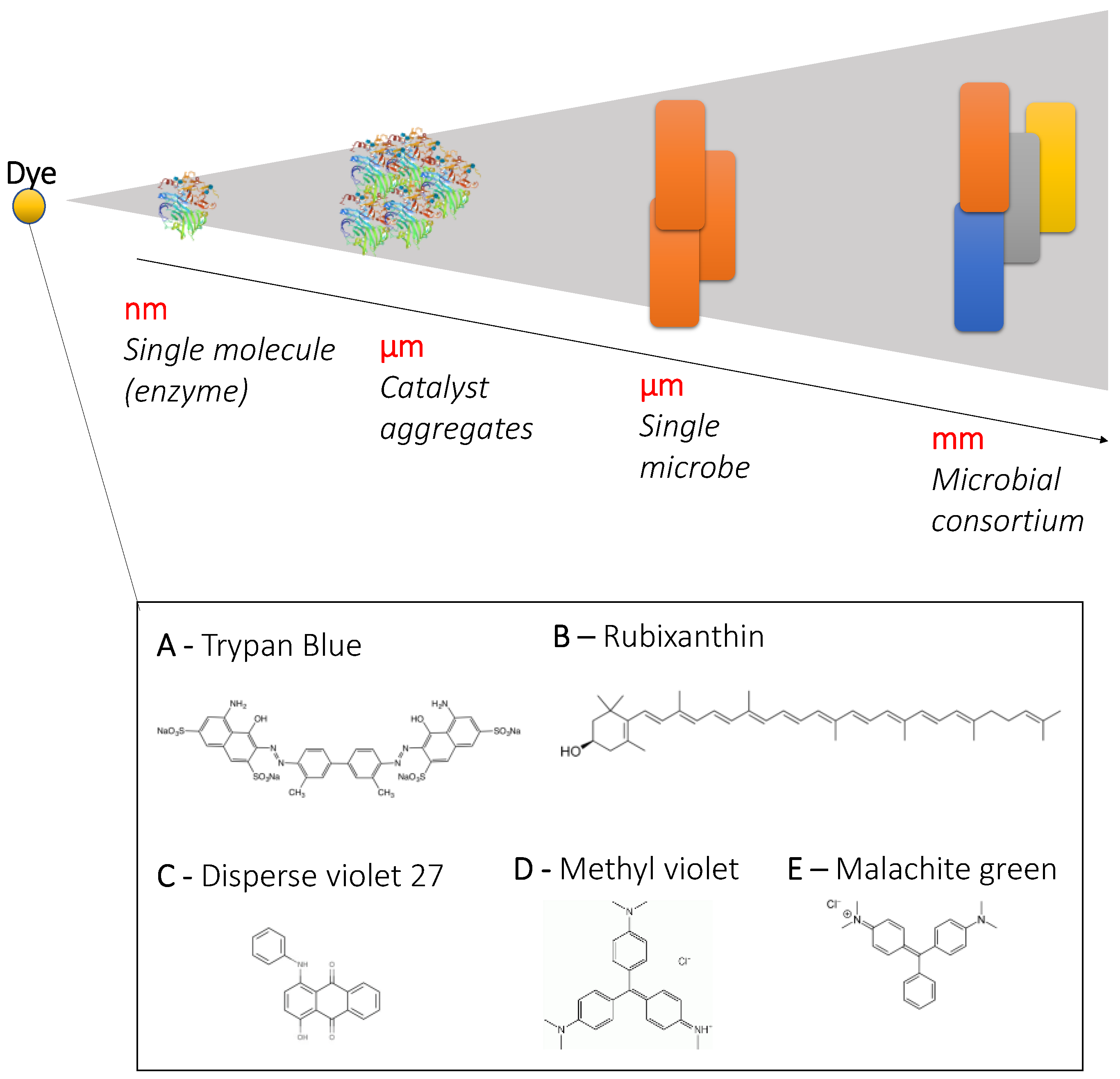 Colorants 01 00025 g002