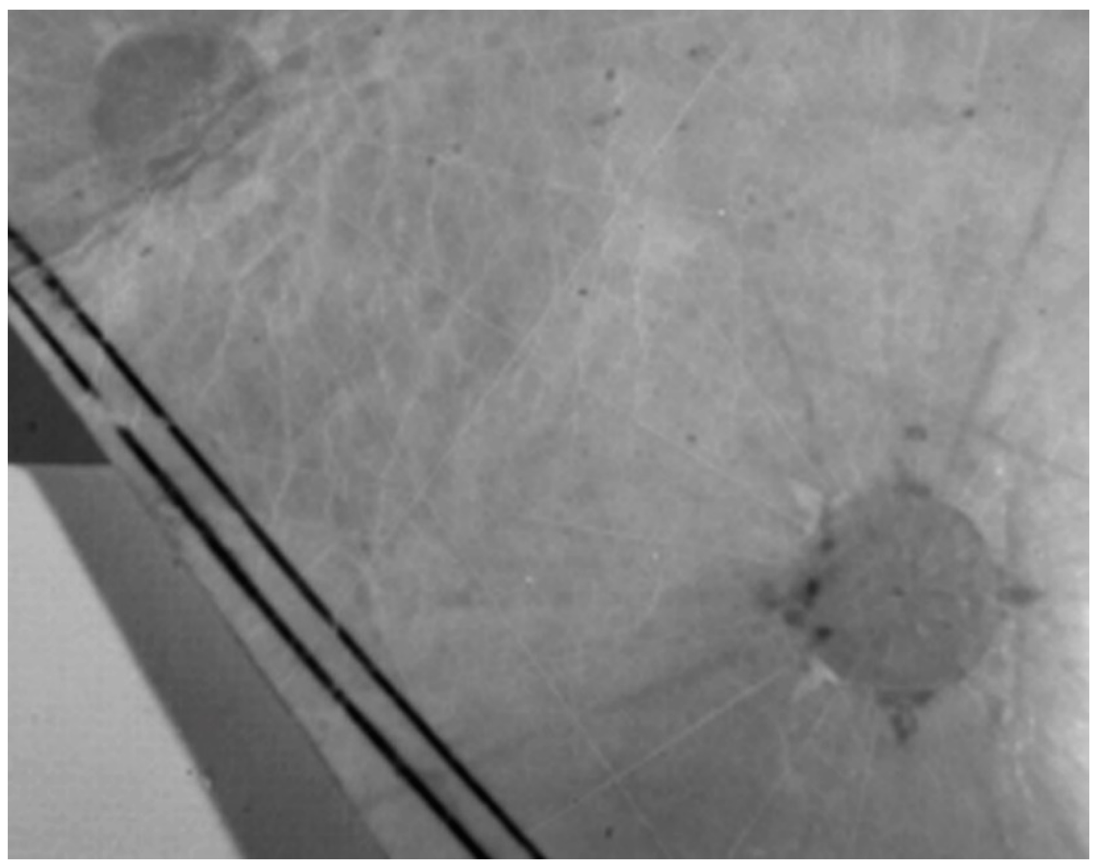 Colorants 01 00026 g004