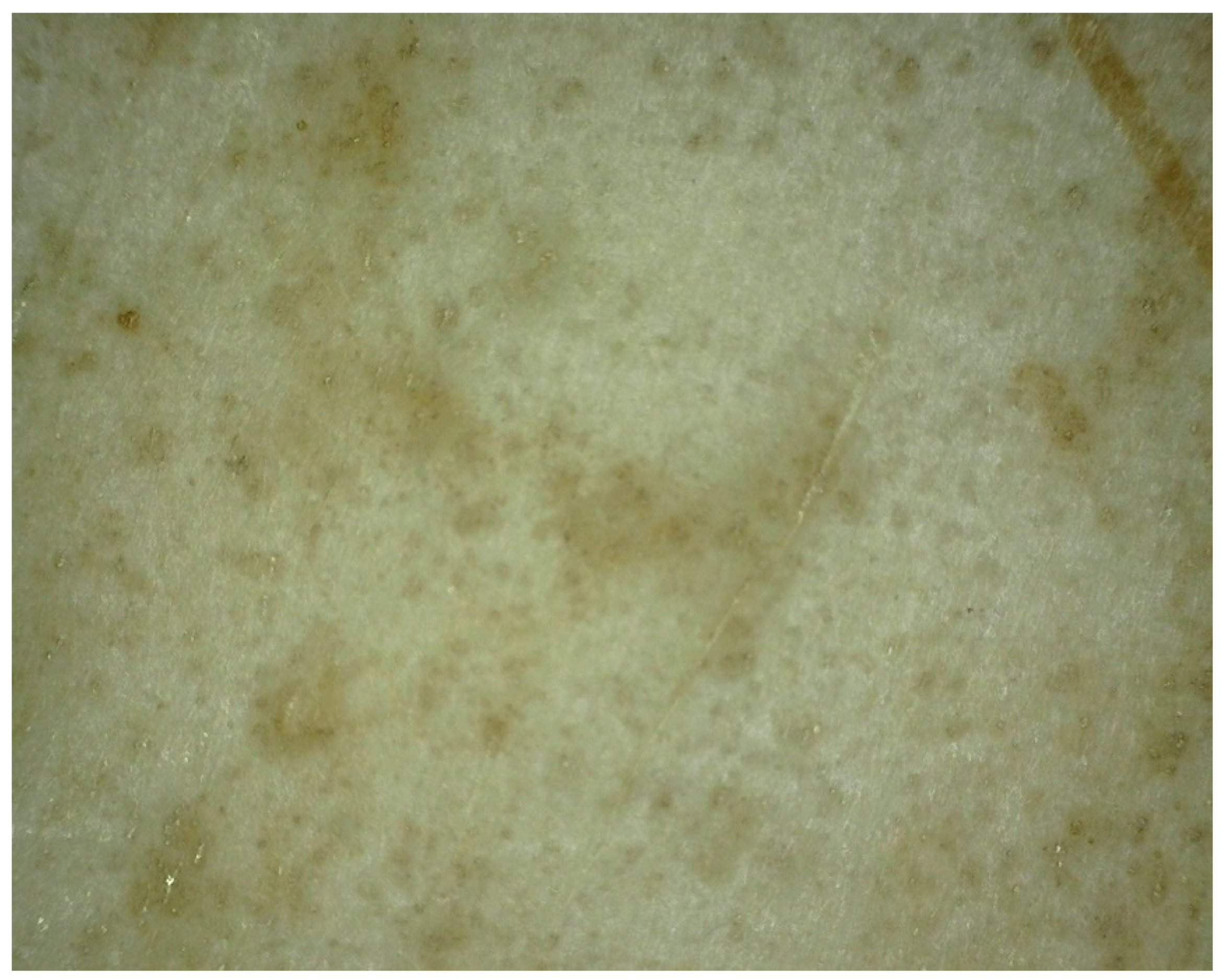 Colorants 01 00026 g006