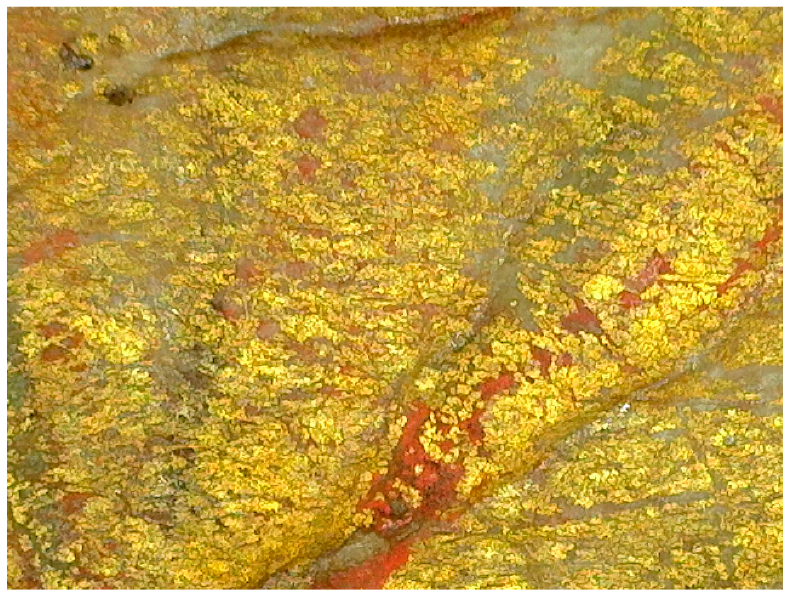 Colorants 01 00026 g009