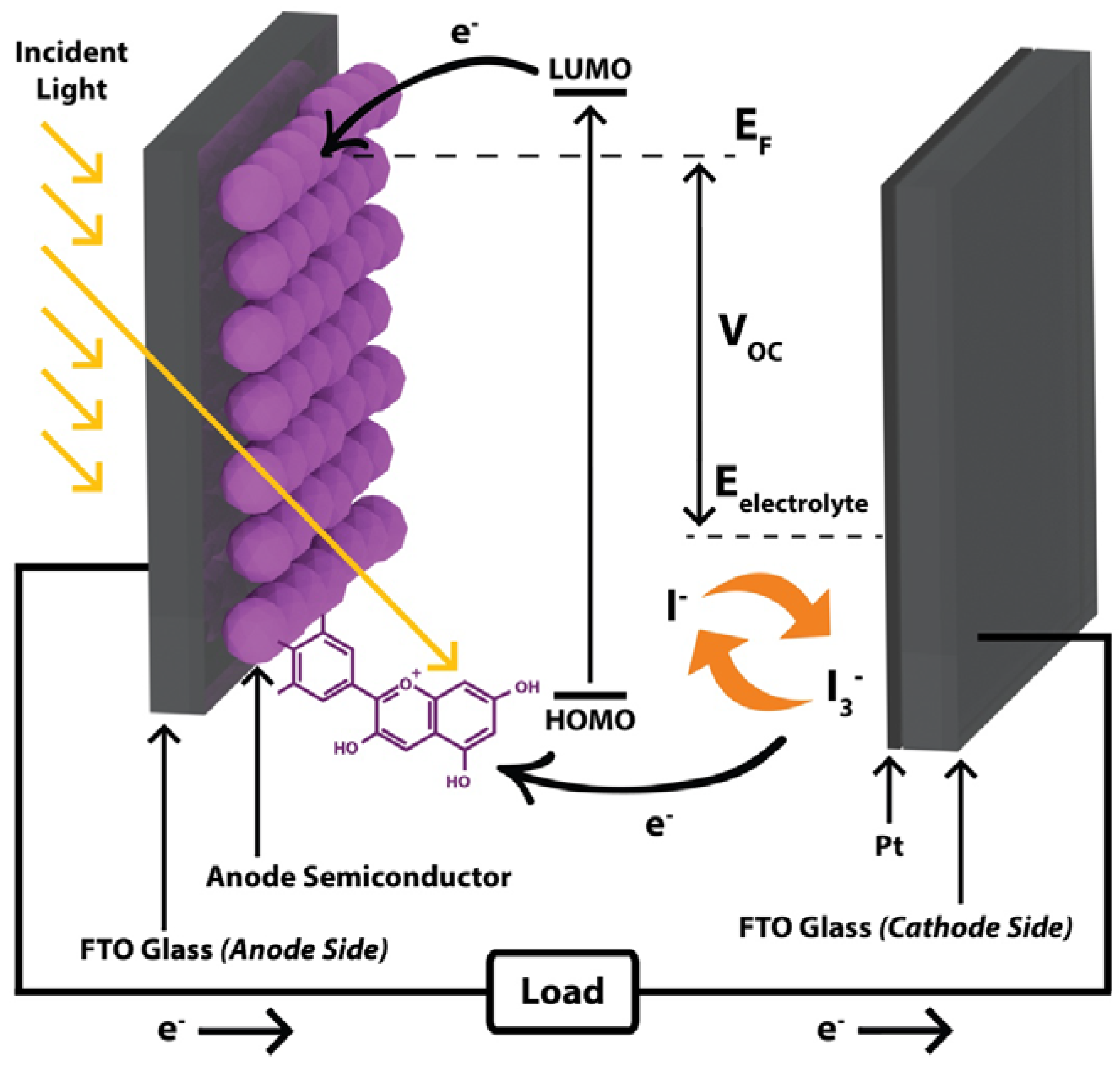 Colorants 02 00007 g001 Colorants 02 00007 g001
