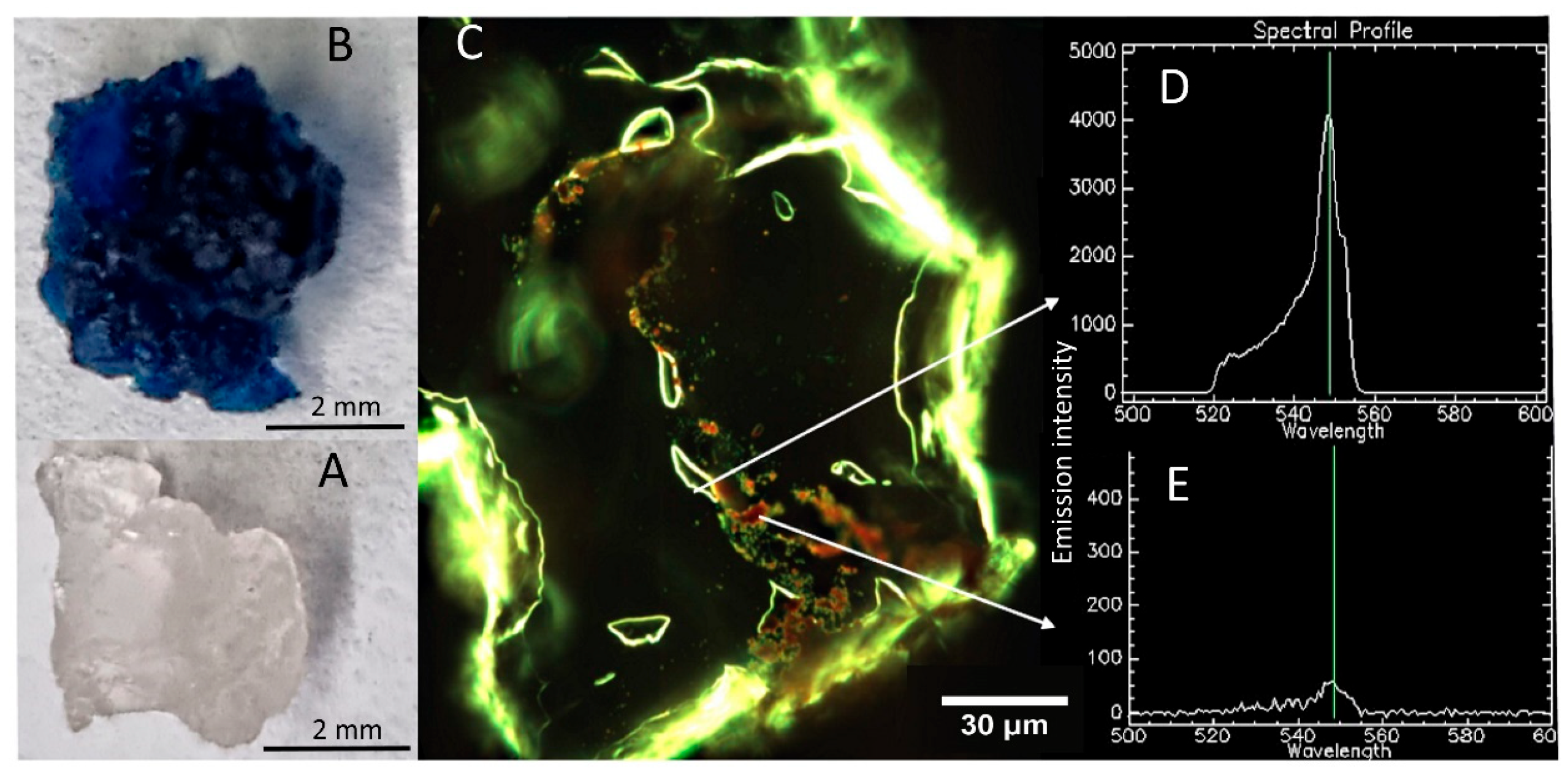 Colorants 02 00029 g010