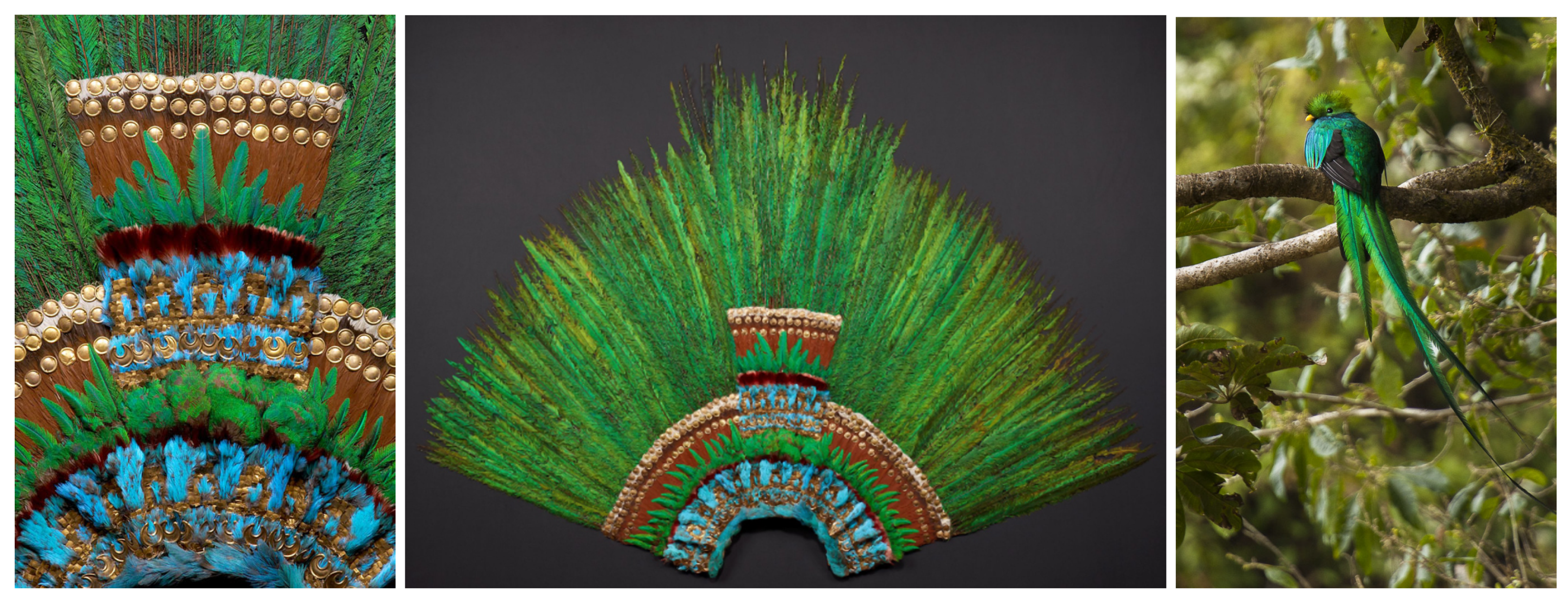 Colorants | Free Full-Text | Printing with tonalli: Reproducing Featherwork  from Precolonial Mexico Using Structural Colorants