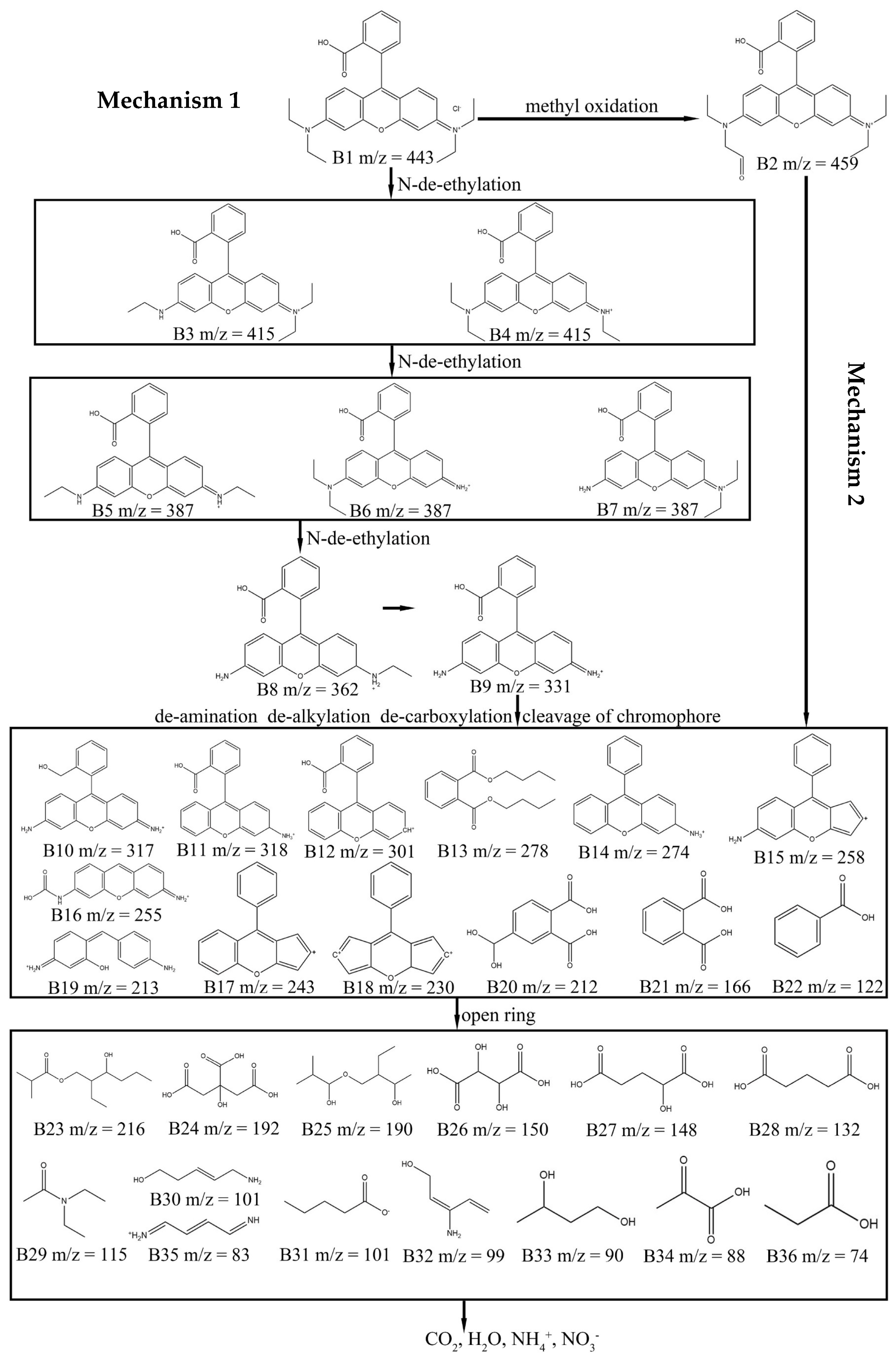 Colorants 02 00035 g007 Colorants 02 00035 g007
