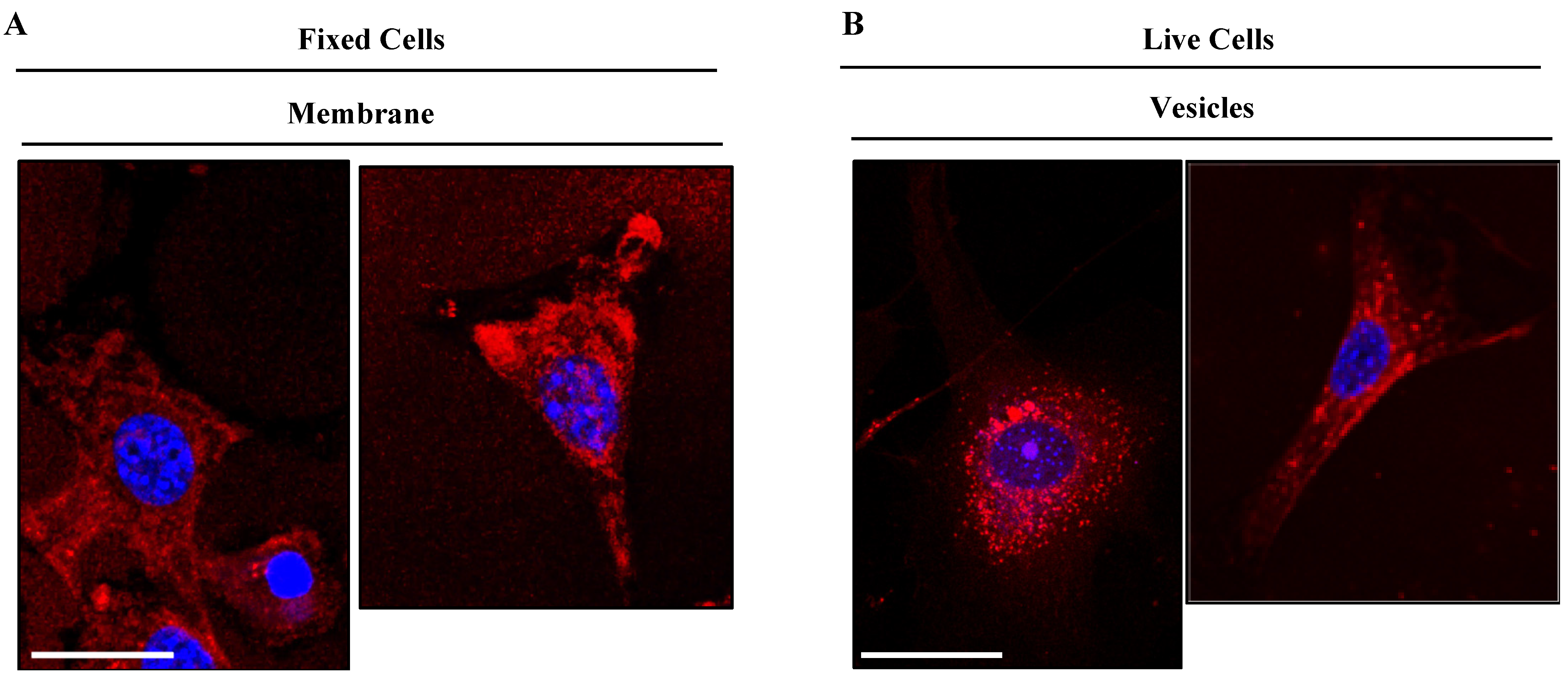 Colorants 03 00002 g010