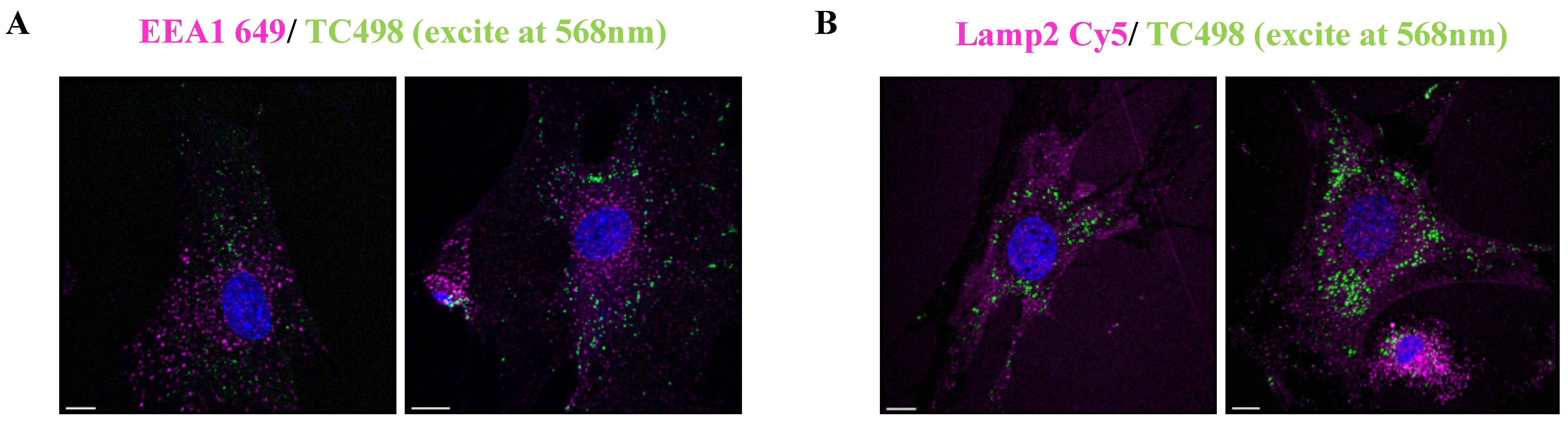 Colorants 03 00002 g012