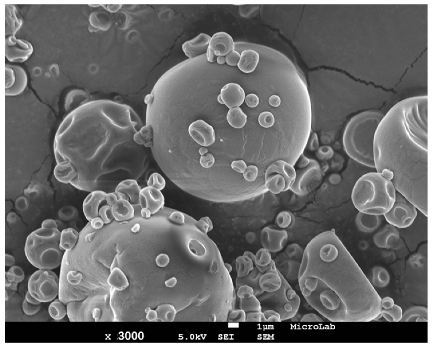 Colorants 03 00003 g003