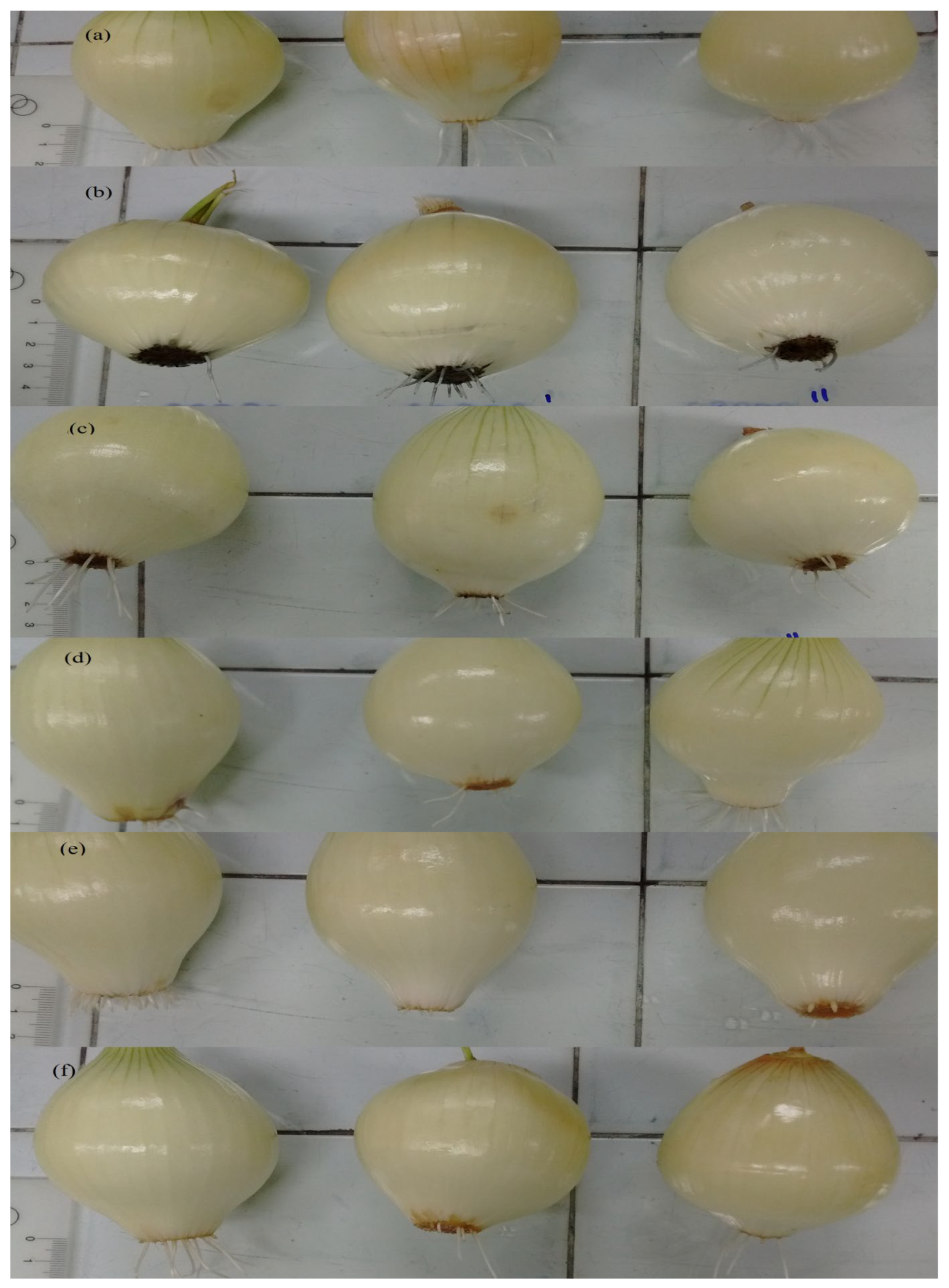Colorants 03 00005 g005