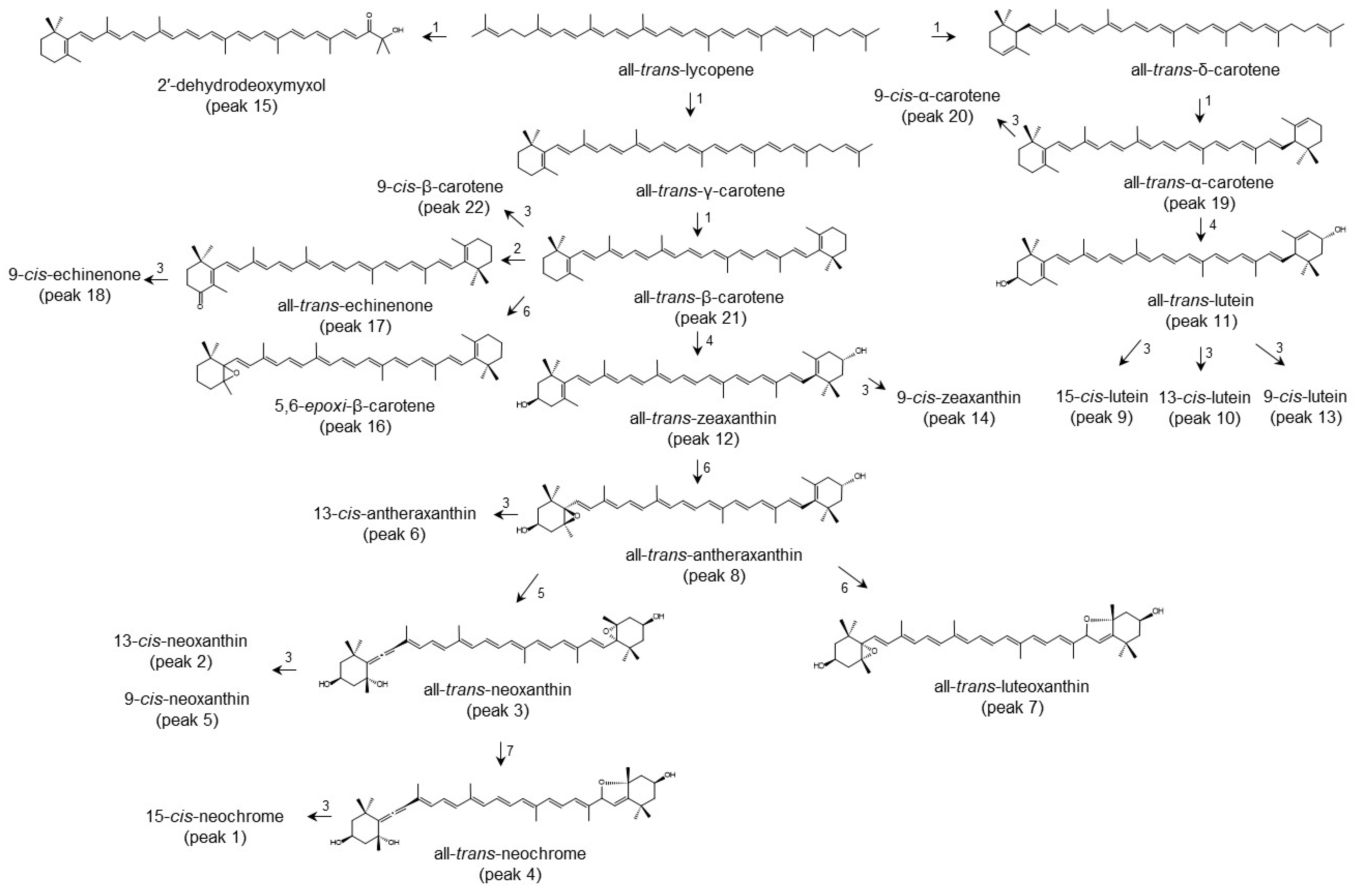 Colorants 03 00020 g001